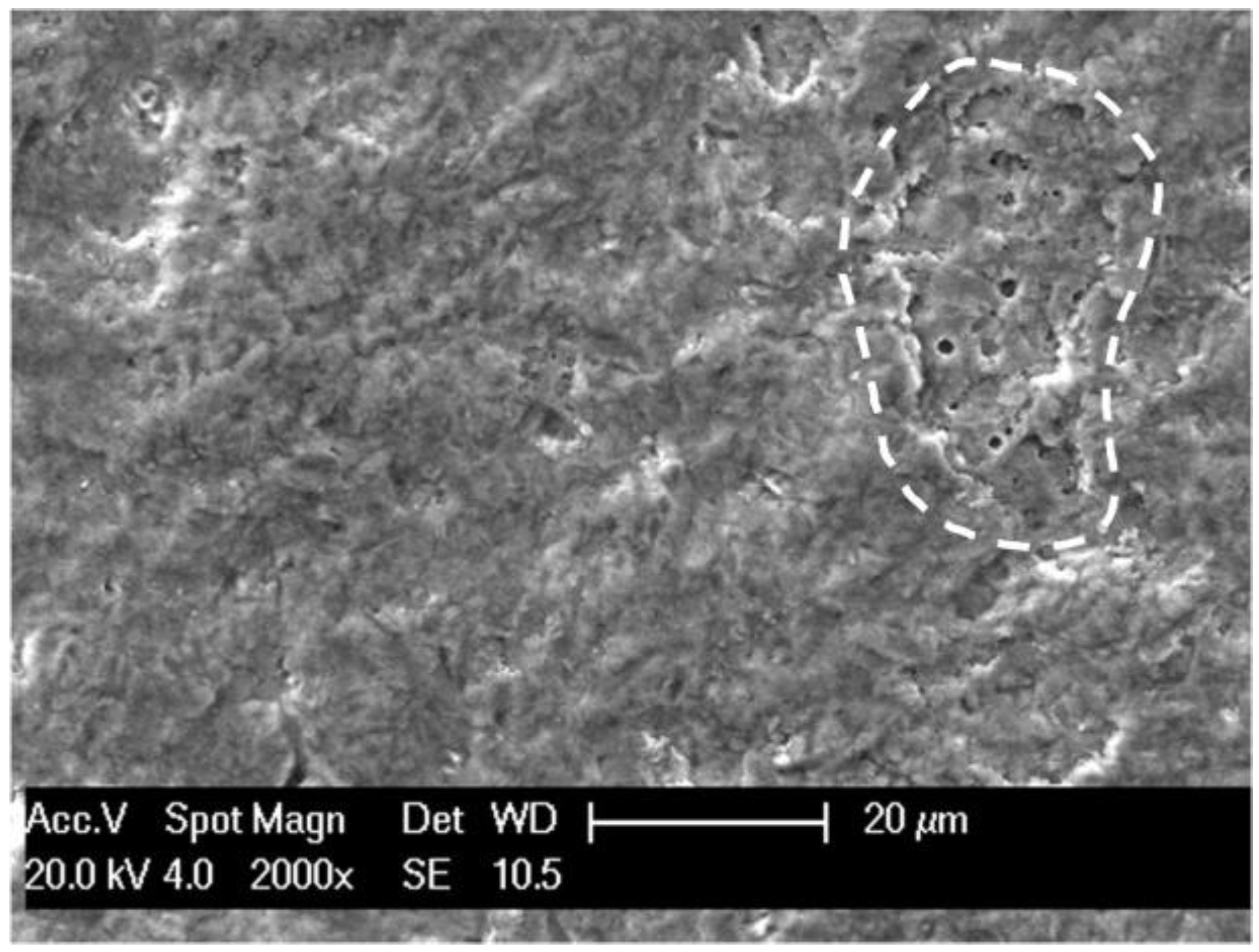 Coatings 13 00619 g016 Coatings 13 00619 g016