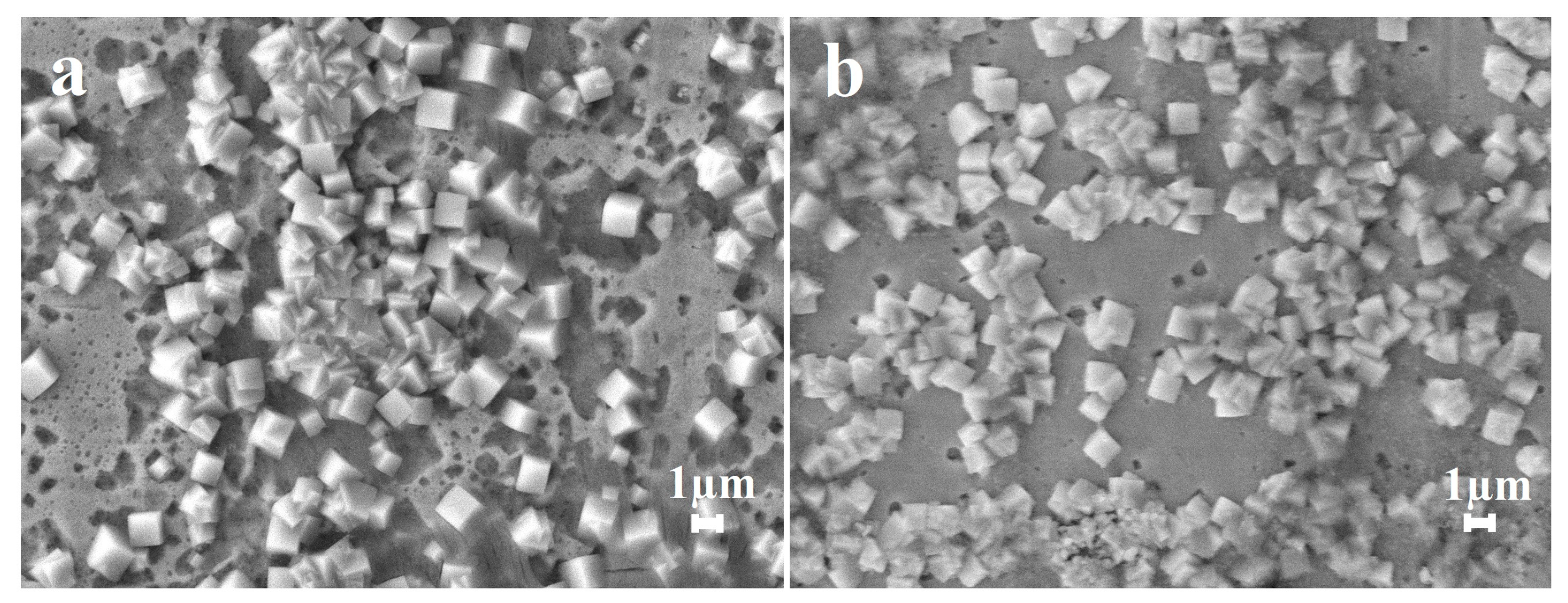 Coatings 13 00621 g003