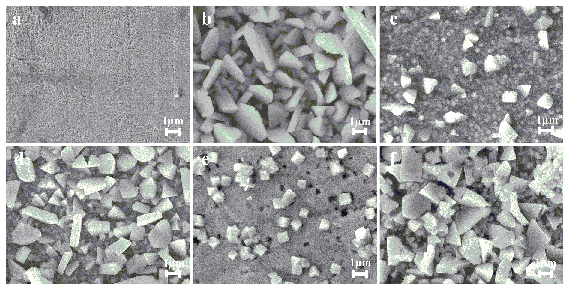 Coatings 13 00621 g008