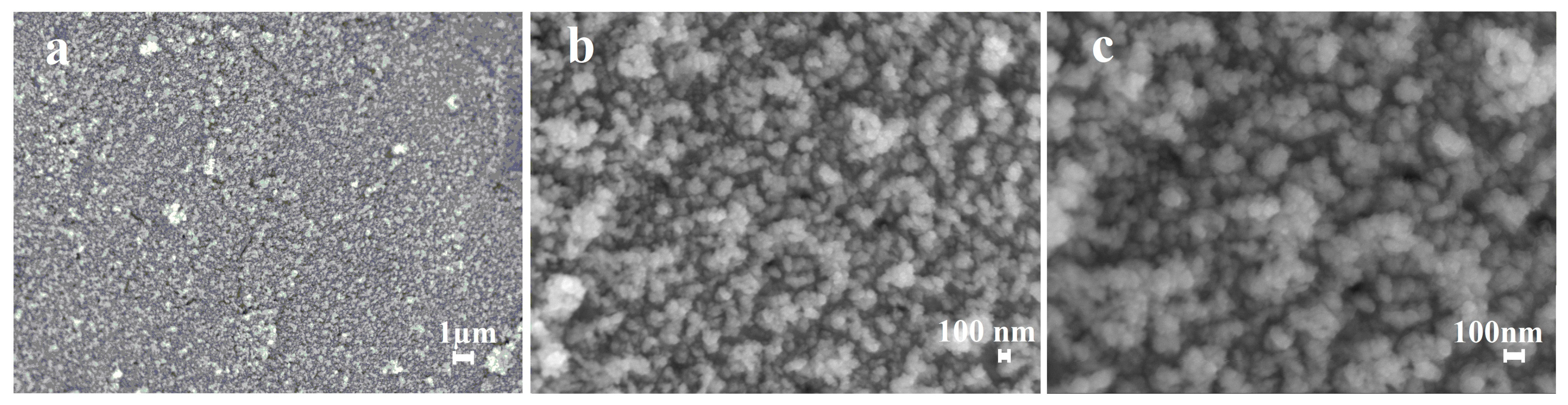 Coatings 13 00621 g010