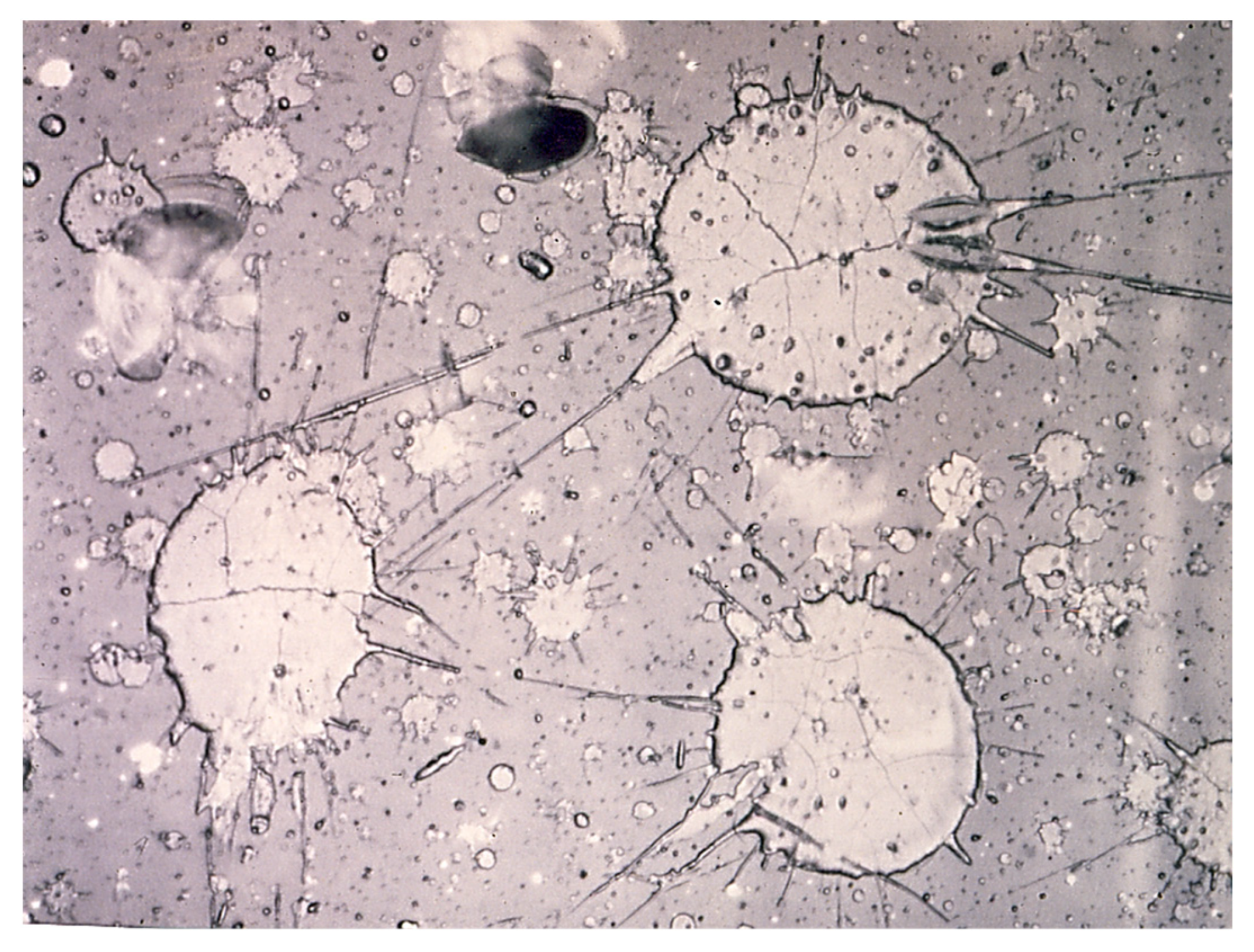 Coatings 13 00622 g003 Coatings 13 00622 g003