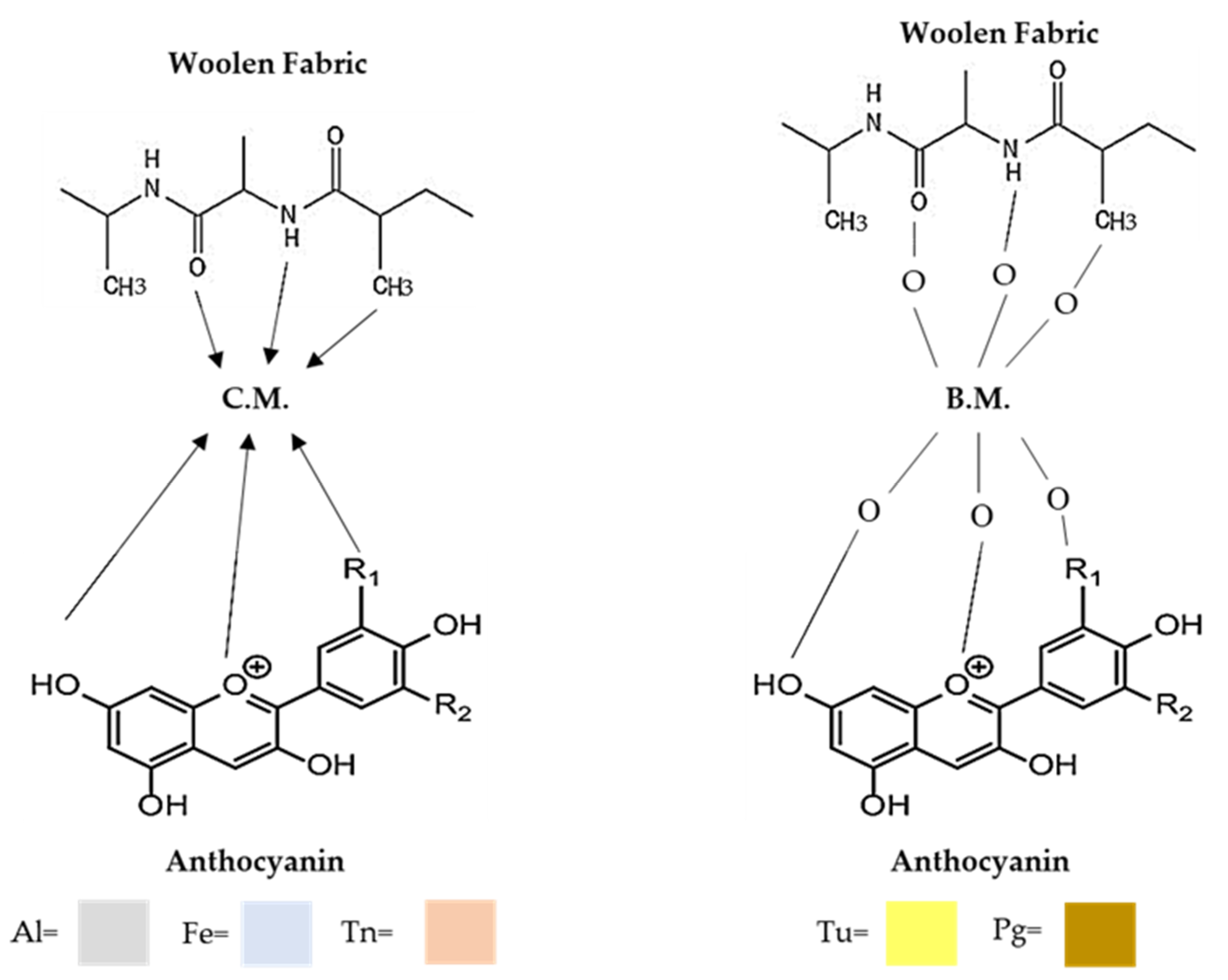 Coatings 13 00623 g009