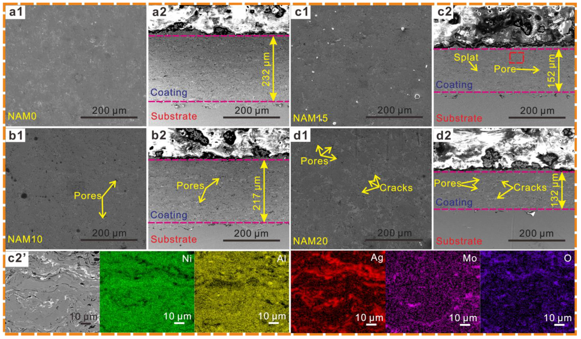 Coatings 13 00624 g002