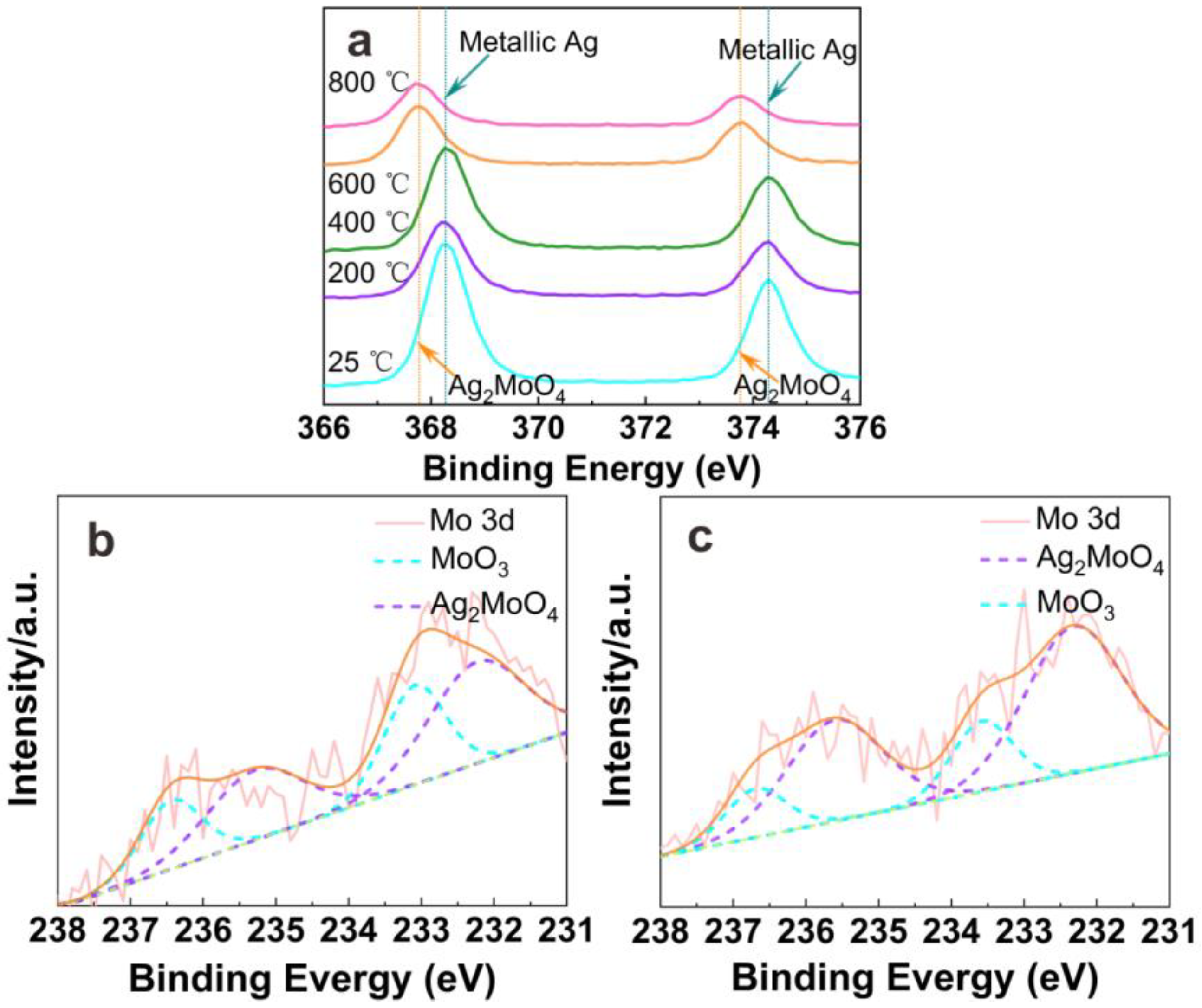 Coatings 13 00624 g007