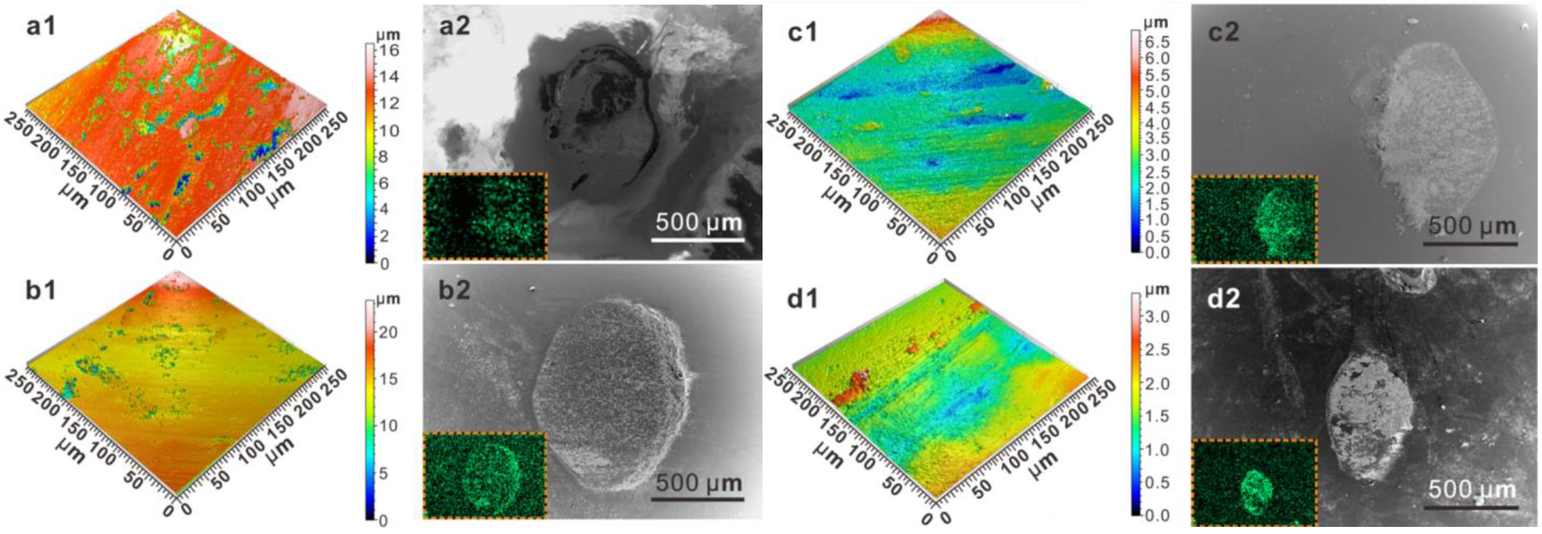 Coatings 13 00624 g009