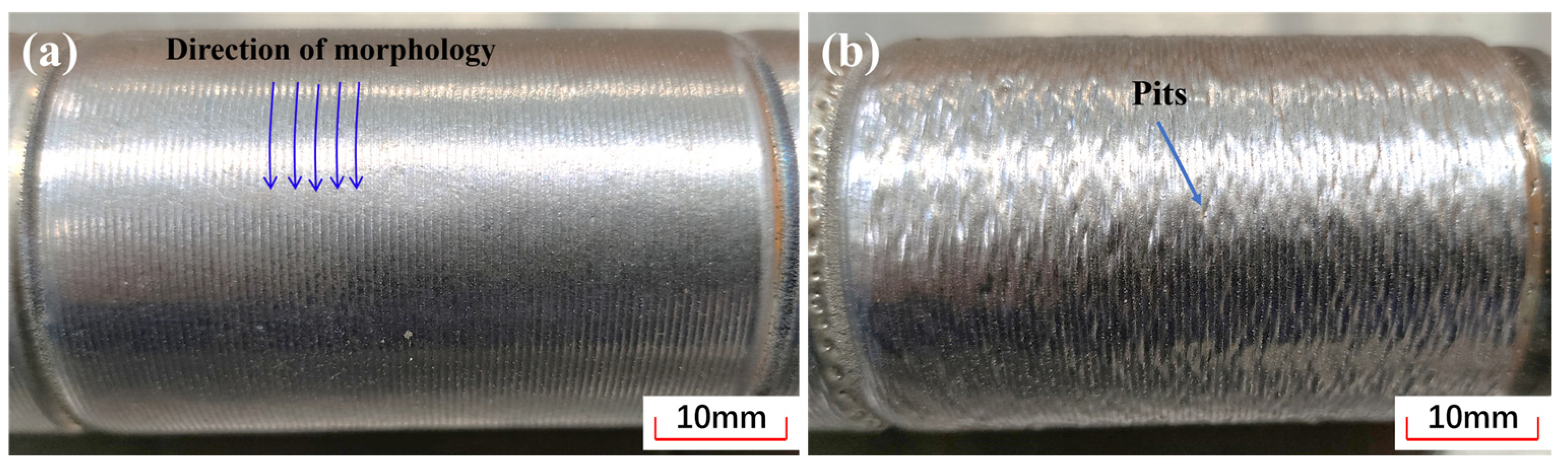 Coatings 13 00625 g007 Coatings 13 00625 g007
