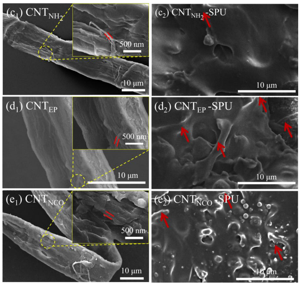Coatings 13 00634 g005b