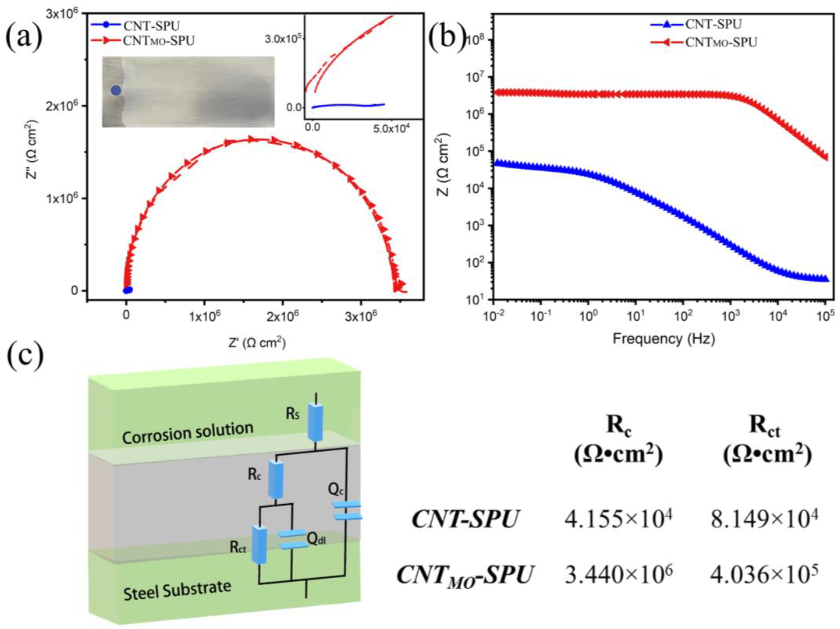 Coatings 13 00634 g009