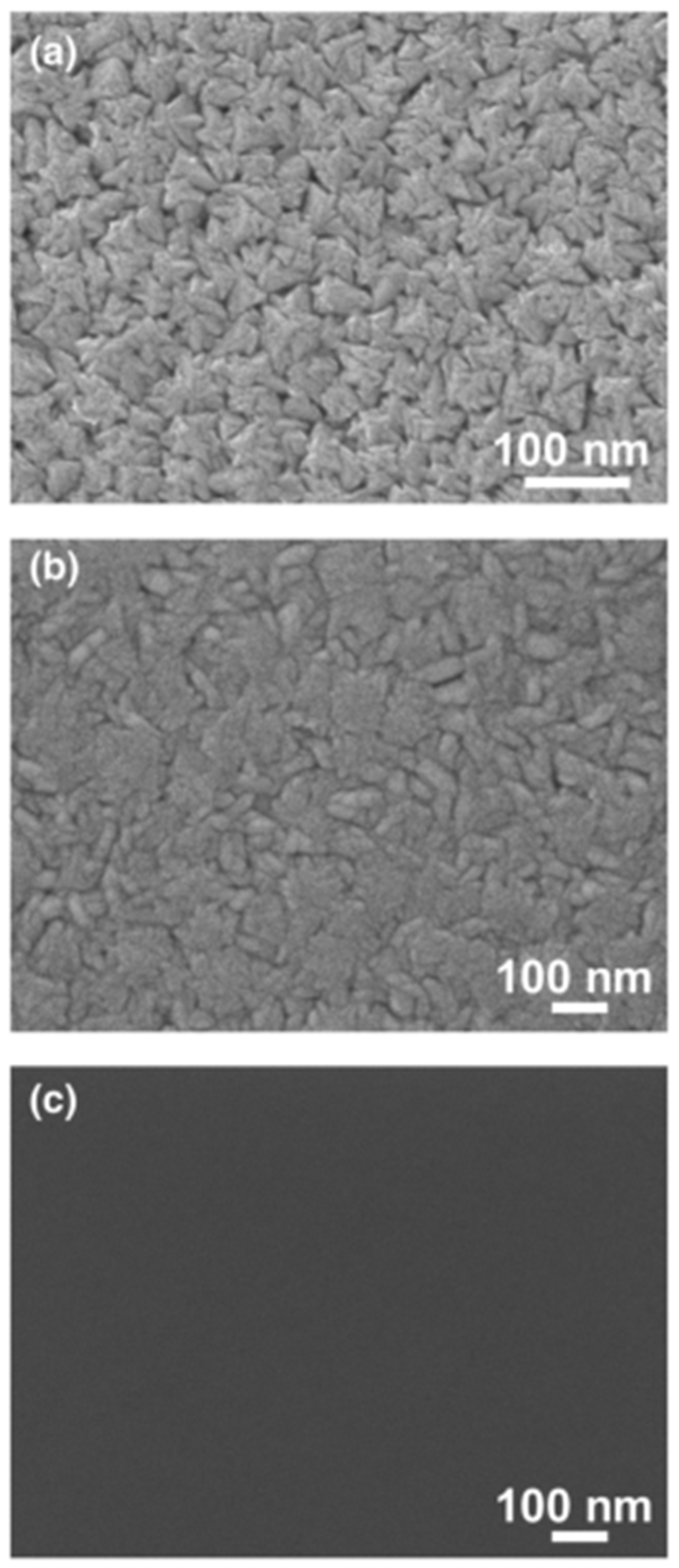 Coatings 13 00635 g003