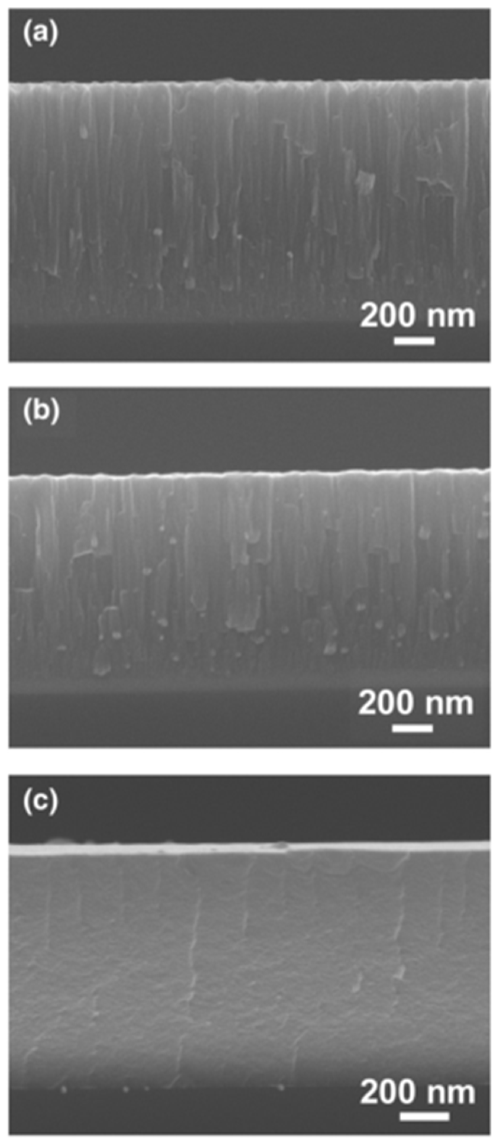 Coatings 13 00635 g004