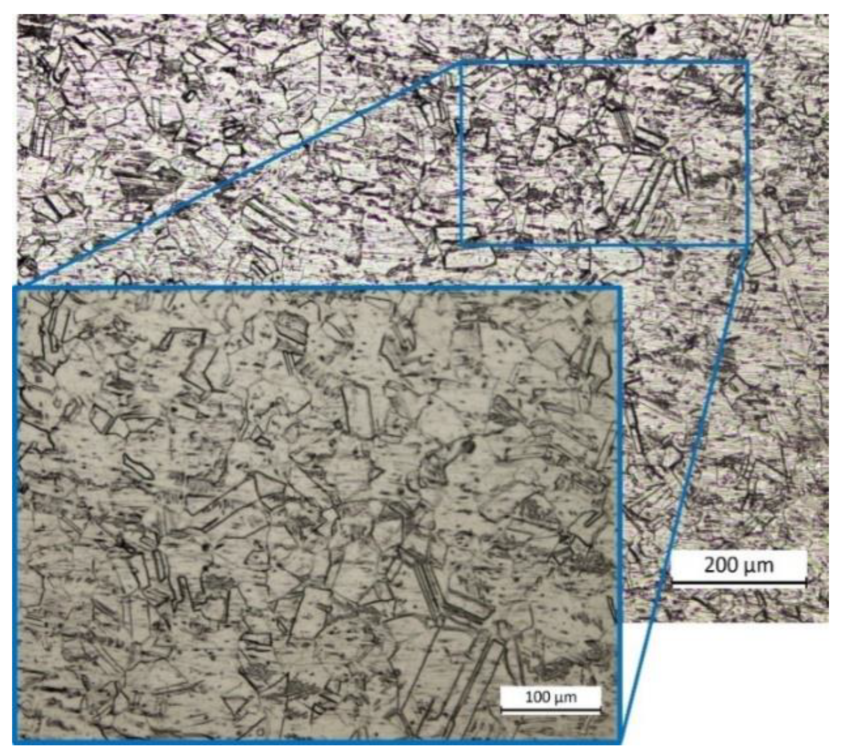 Coatings 13 00636 g007 Coatings 13 00636 g007
