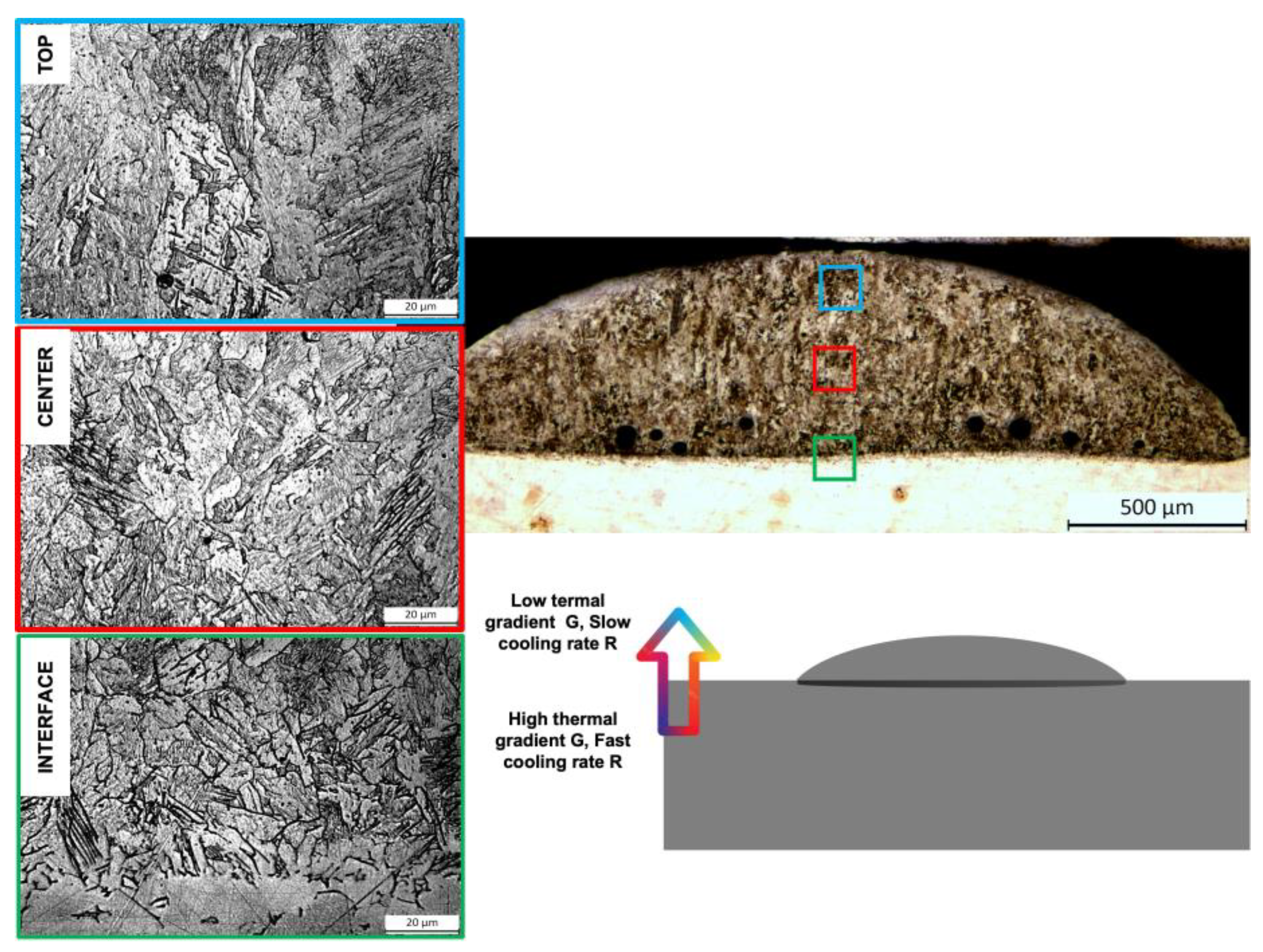Coatings 13 00636 g008 Coatings 13 00636 g008