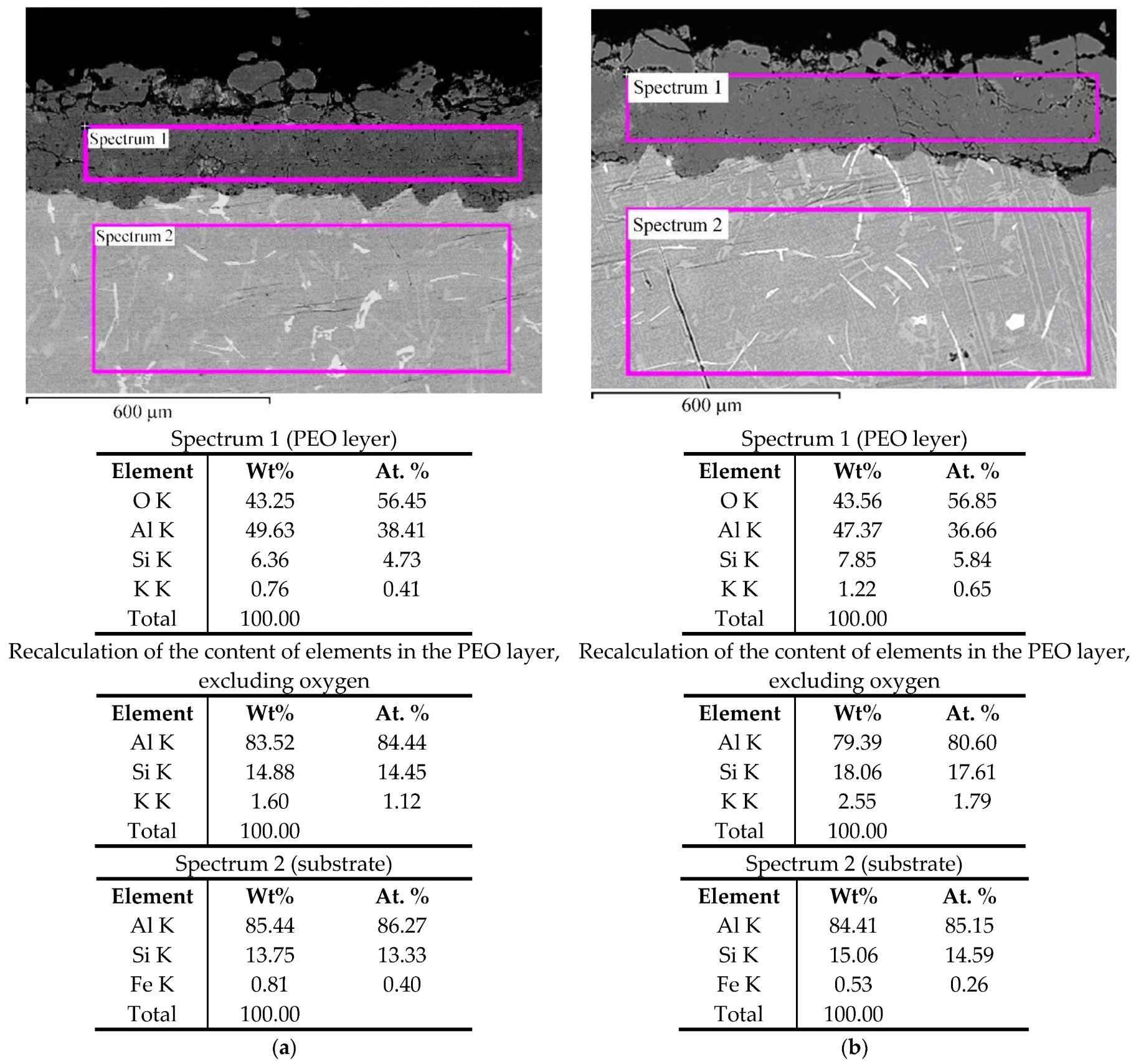 Coatings 13 00637 g003