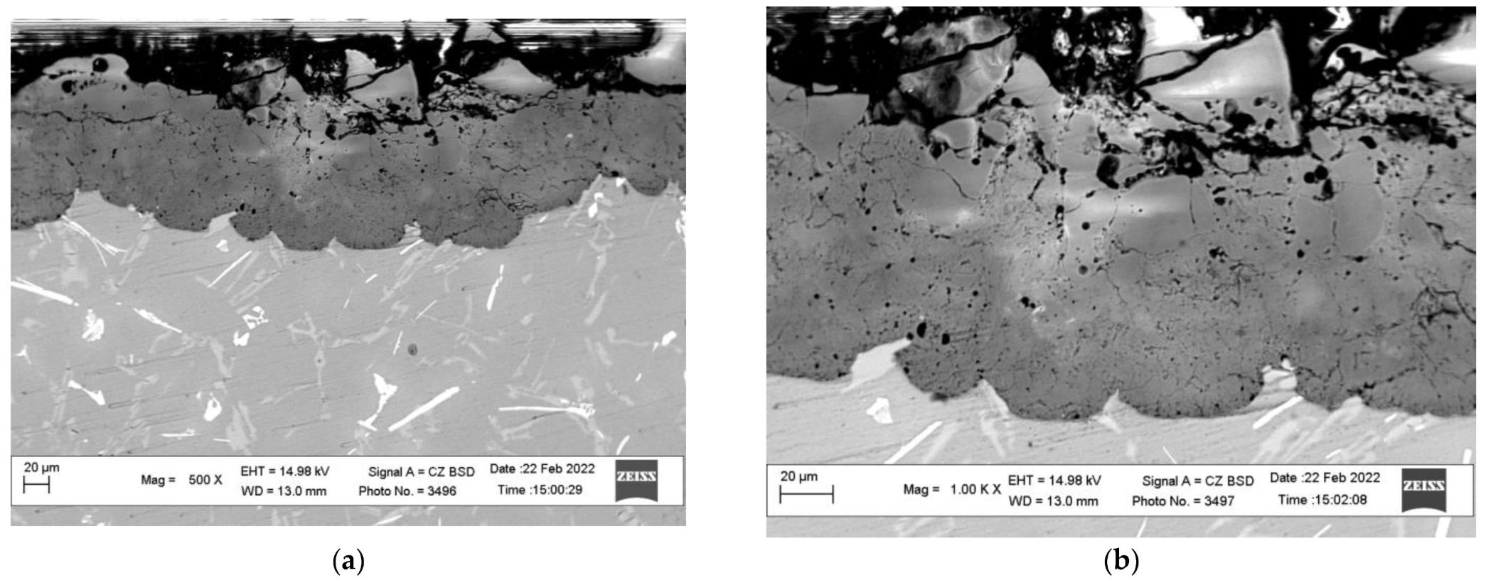 Coatings 13 00637 g004
