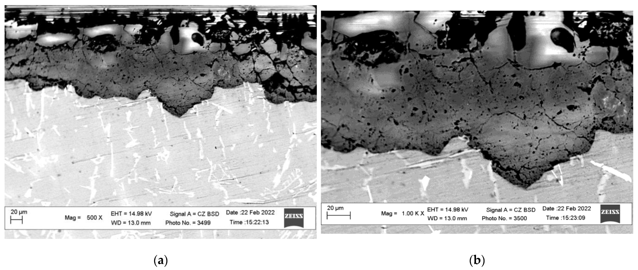 Coatings 13 00637 g007