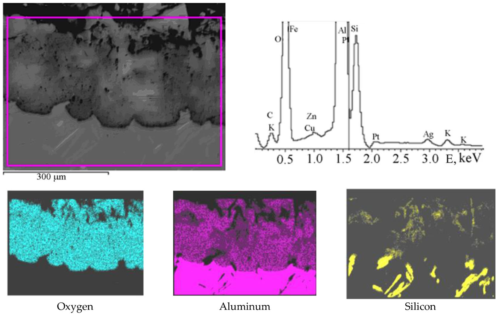 Coatings 13 00637 g009