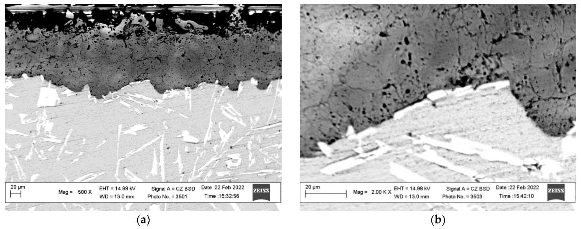 Coatings 13 00637 g013