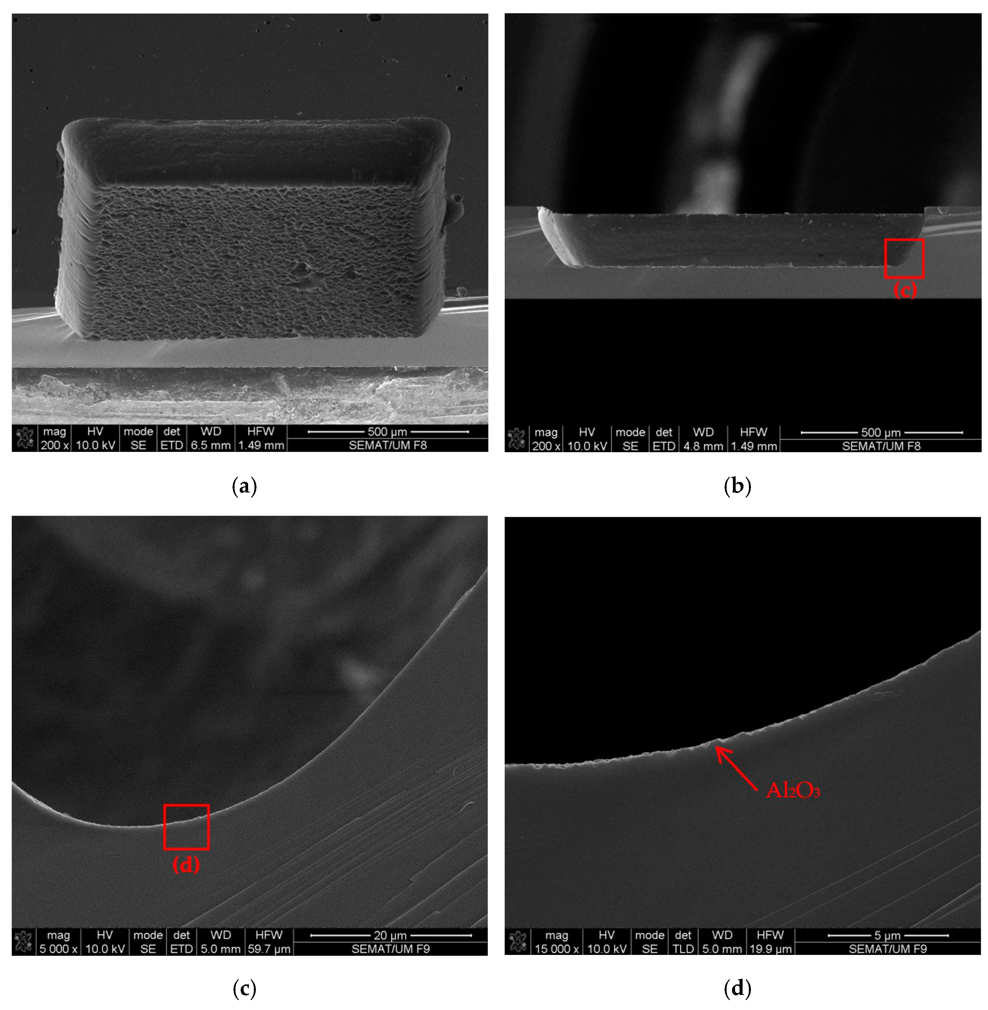 Coatings 13 00638 g007 Coatings 13 00638 g007