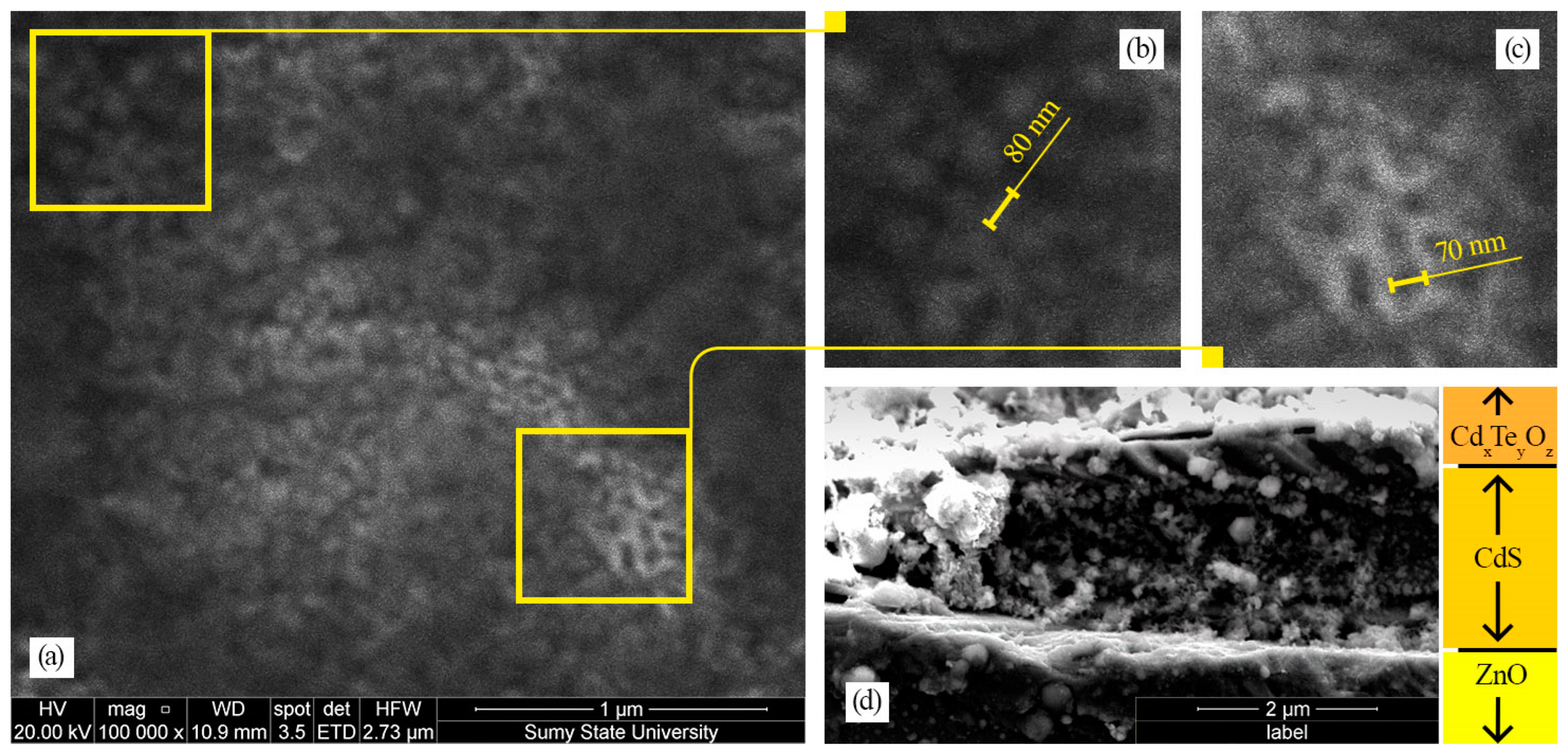 Coatings 13 00639 g002 Coatings 13 00639 g002