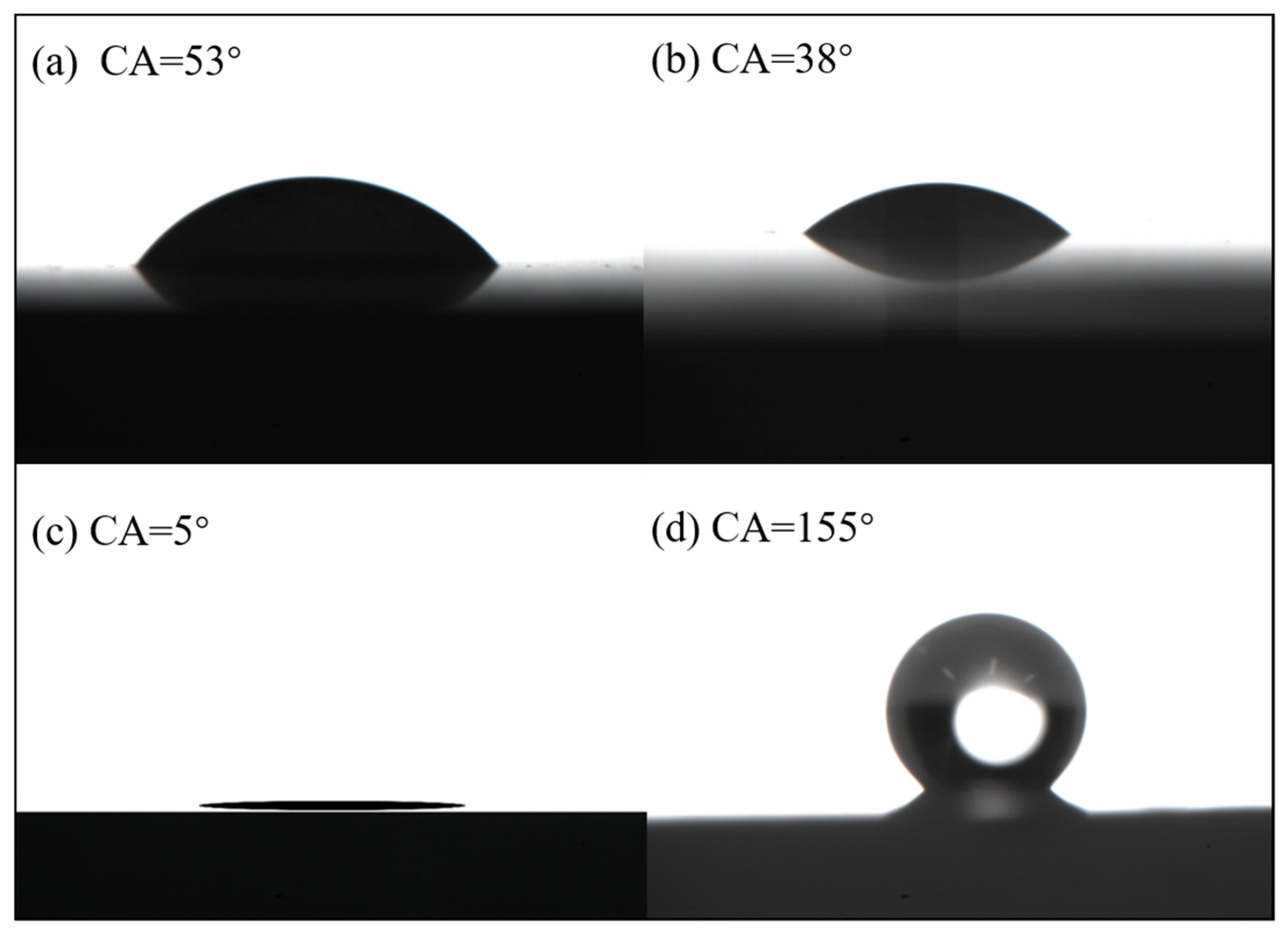 Coatings 13 00643 g004