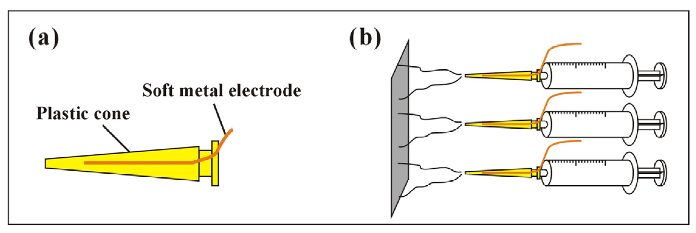 Coatings 13 00647 g001