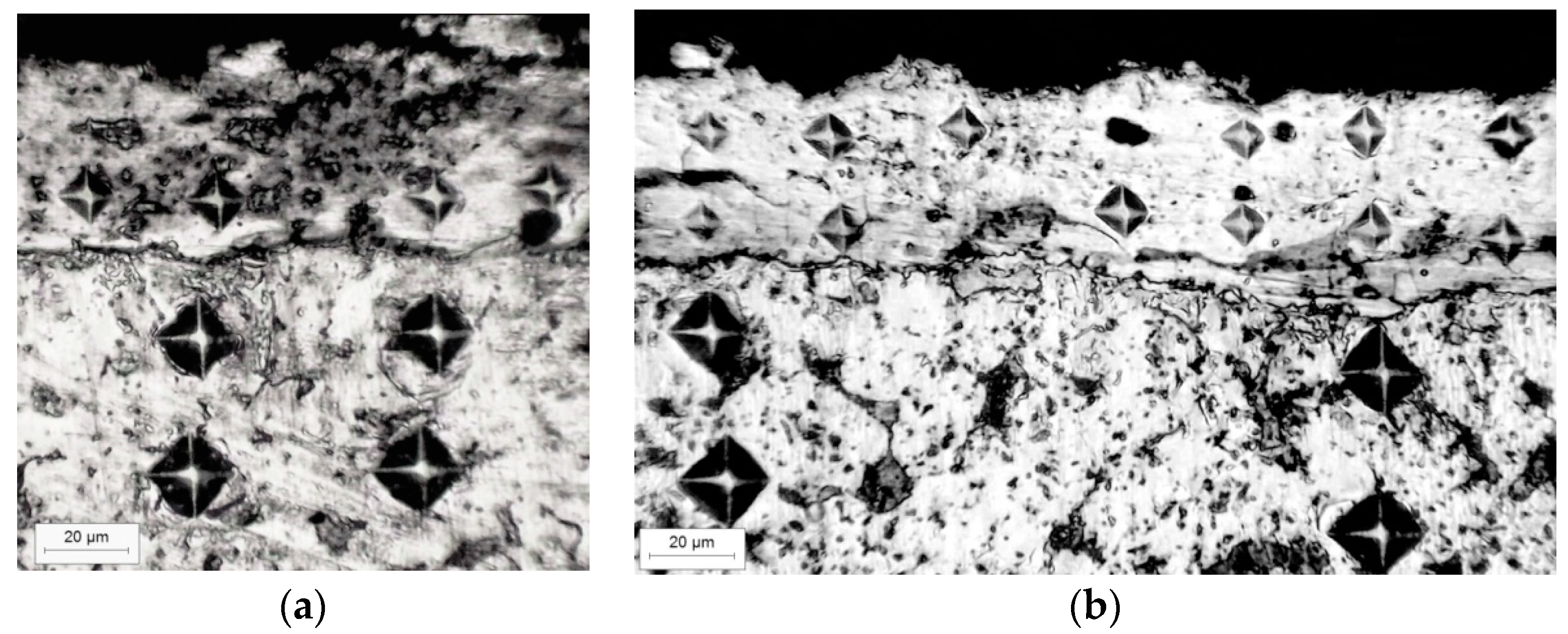 Coatings 13 00651 g004