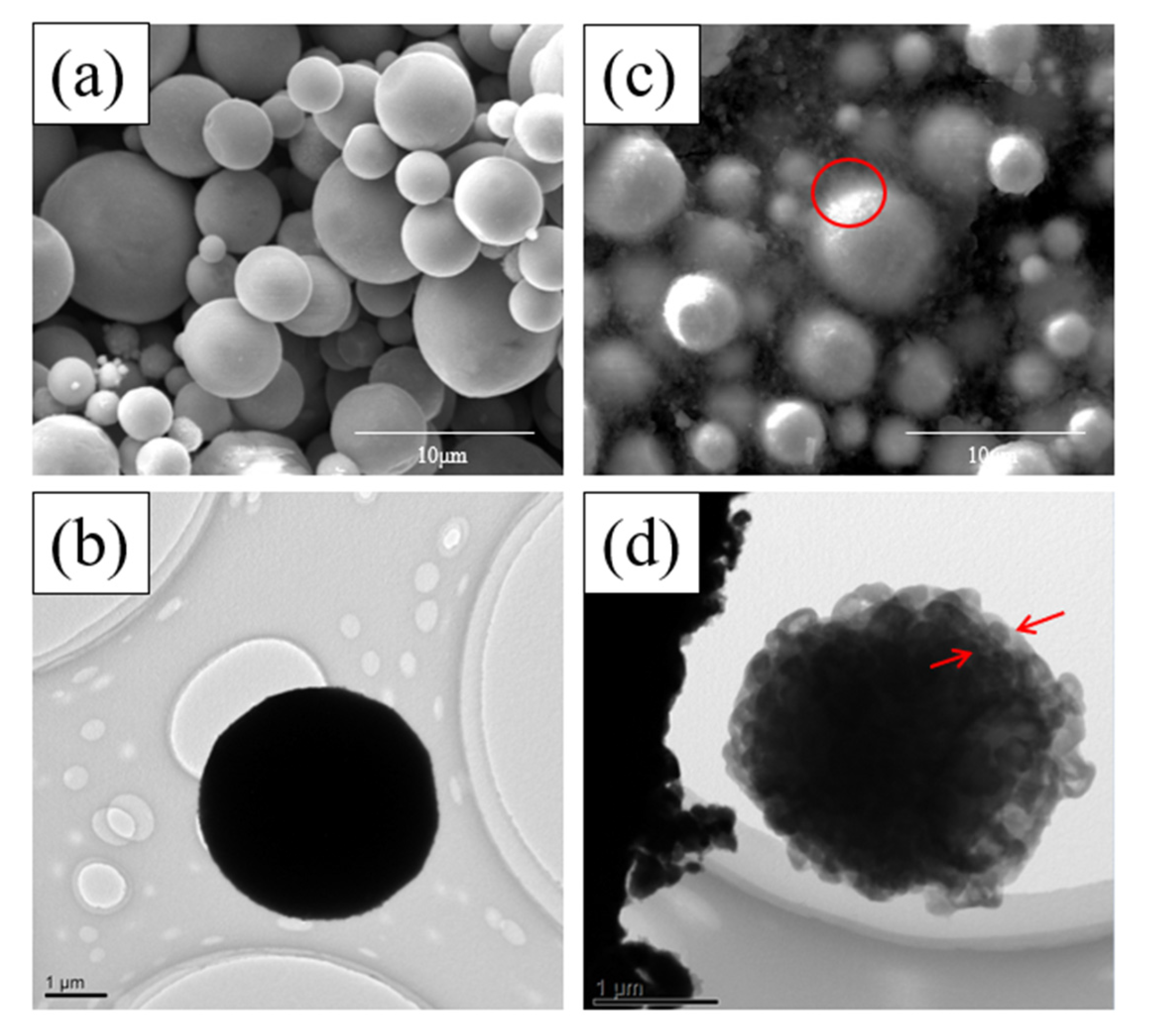 Coatings 13 00652 g003 Coatings 13 00652 g003