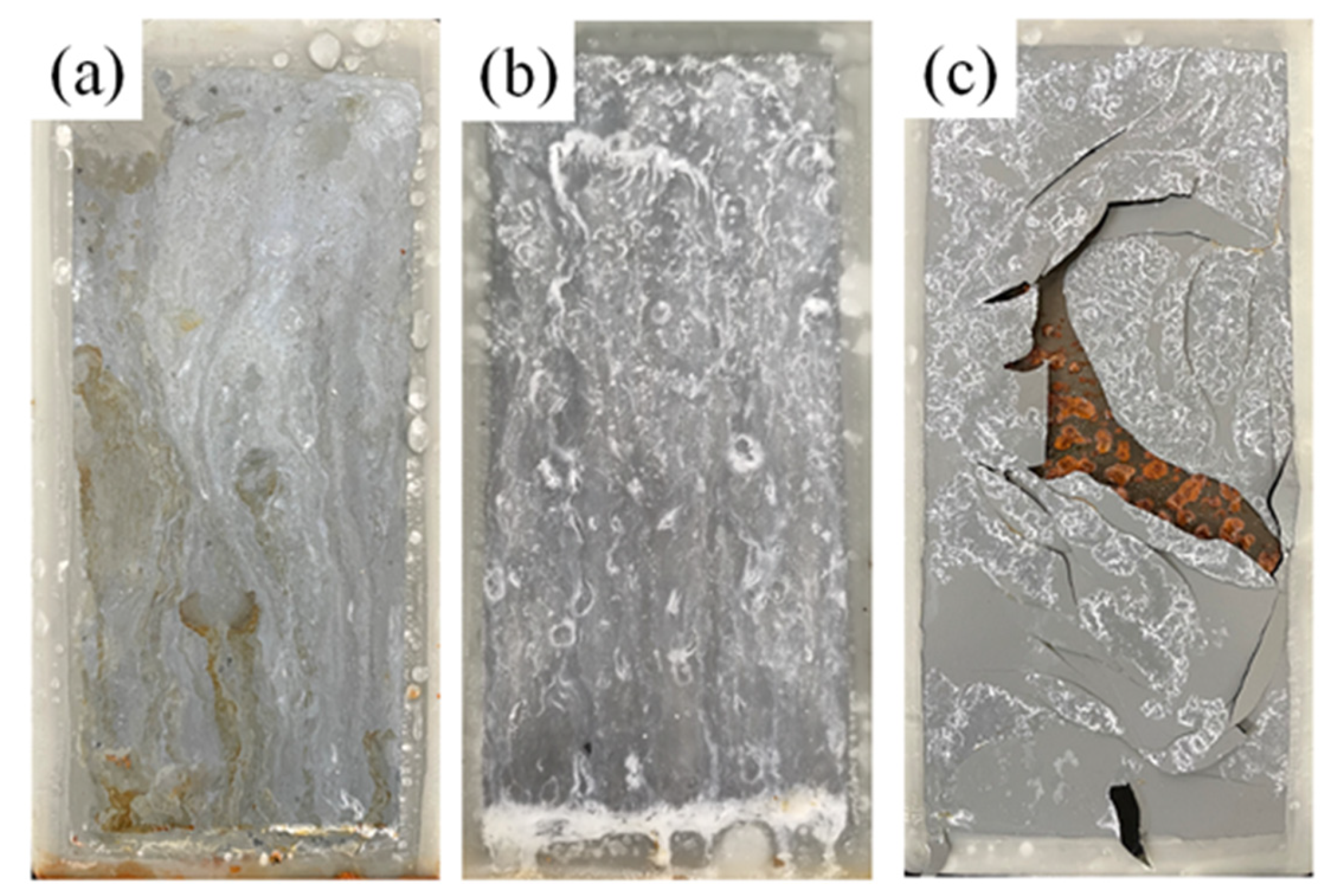 Coatings 13 00652 g013 Coatings 13 00652 g013