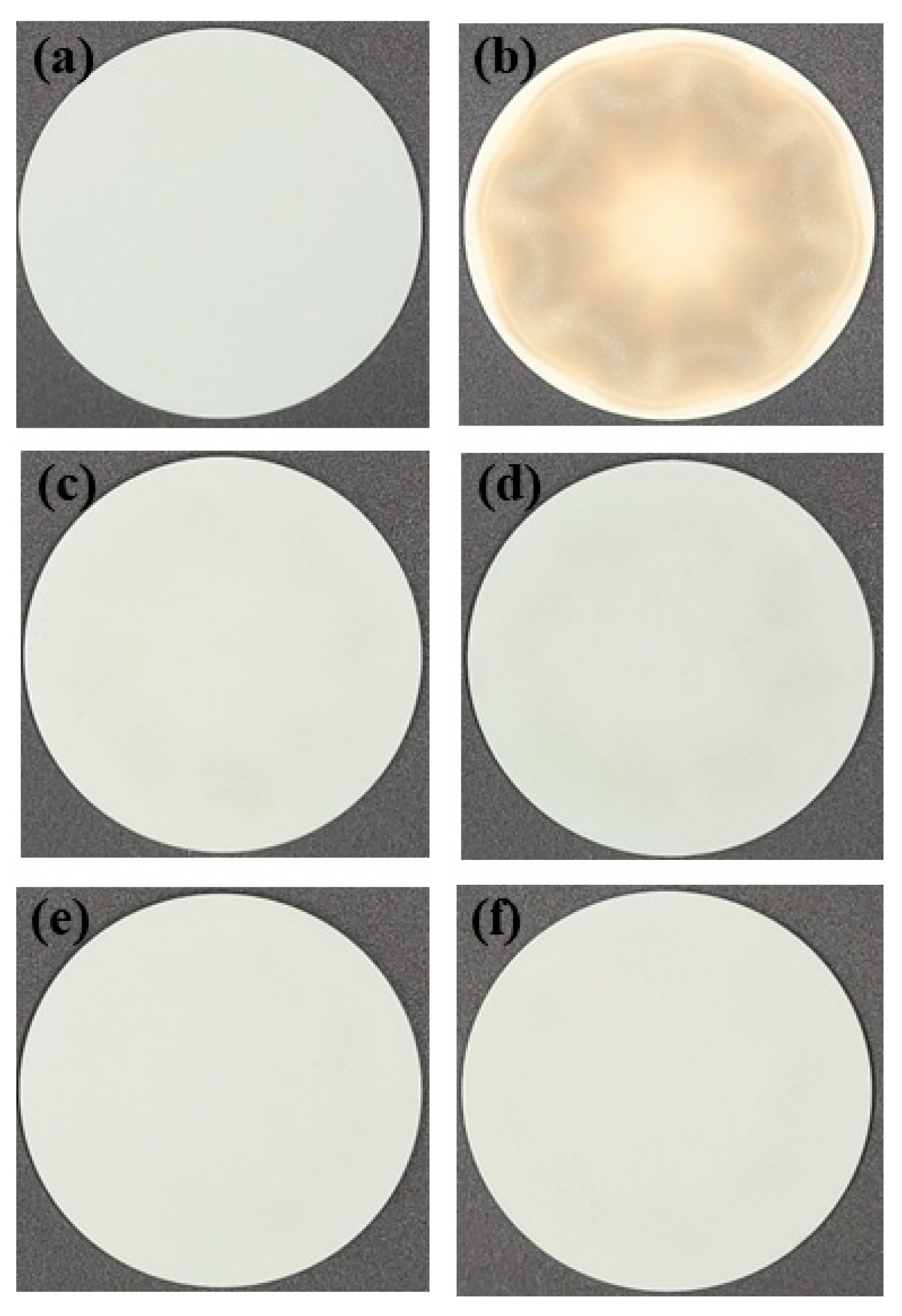 Coatings 13 00653 g004 Coatings 13 00653 g004