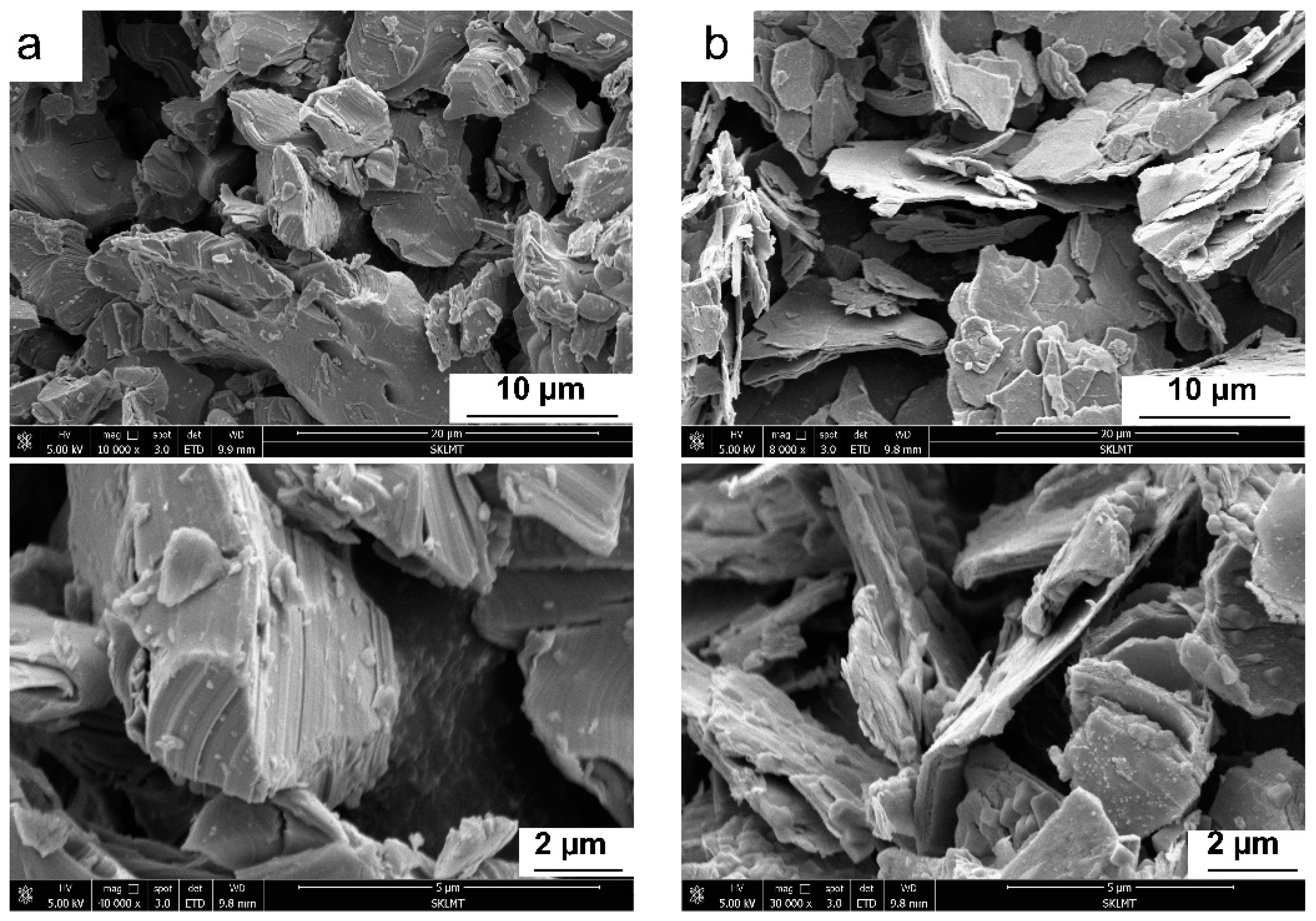 Coatings 13 00655 g002