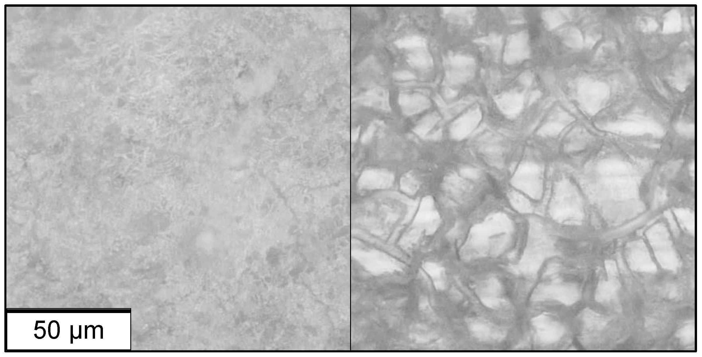 Coatings 13 00656 g006 Coatings 13 00656 g006