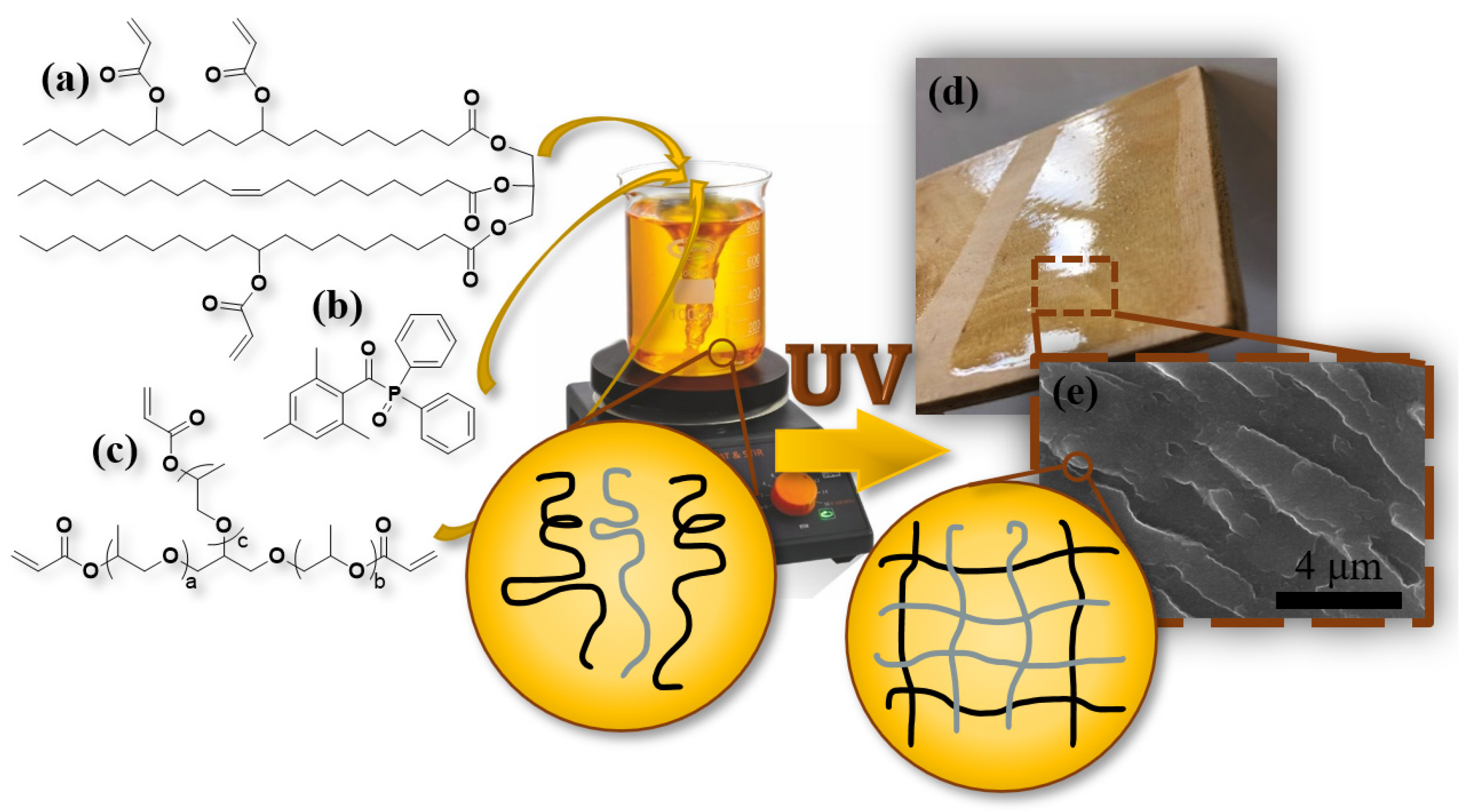 Coatings 13 00657 g001 Coatings 13 00657 g001
