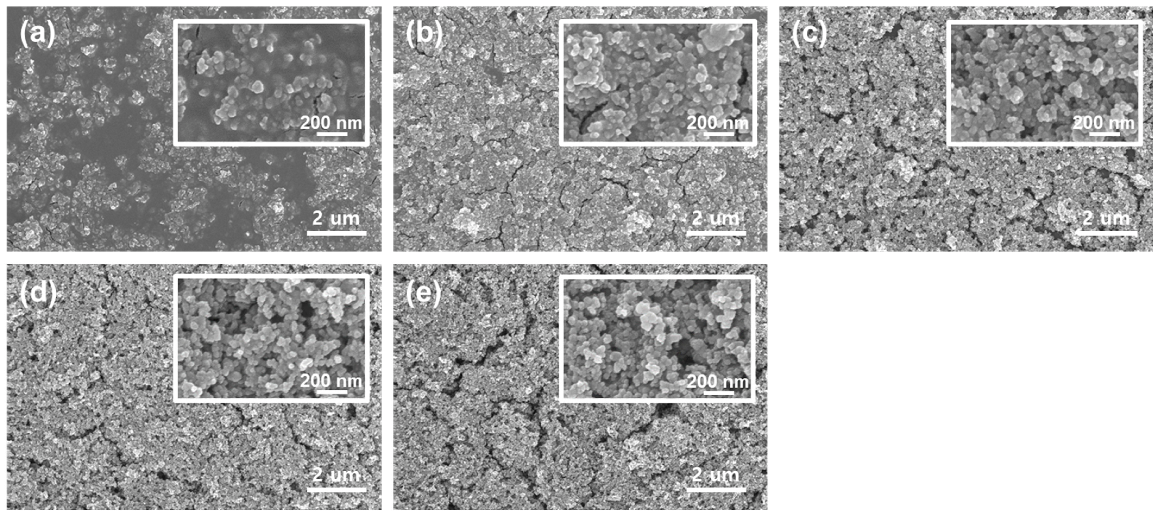 Coatings 13 00661 g004