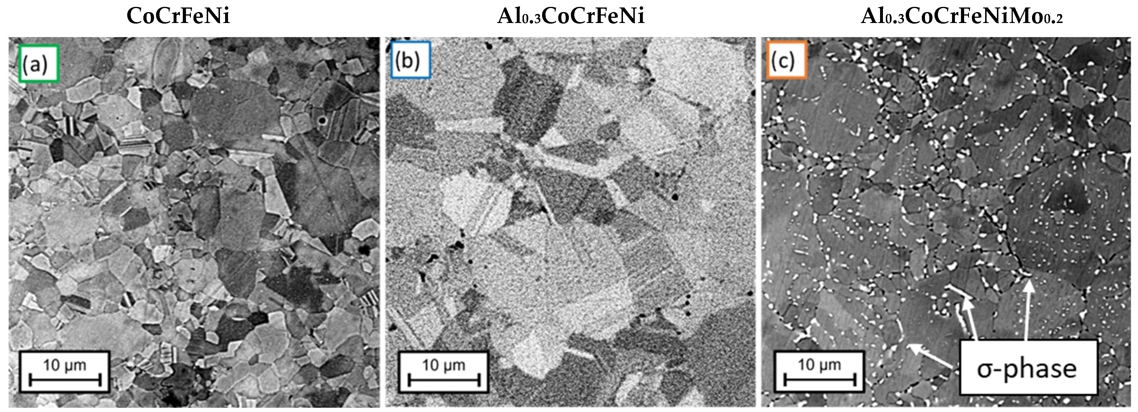 Coatings 13 00662 g001
