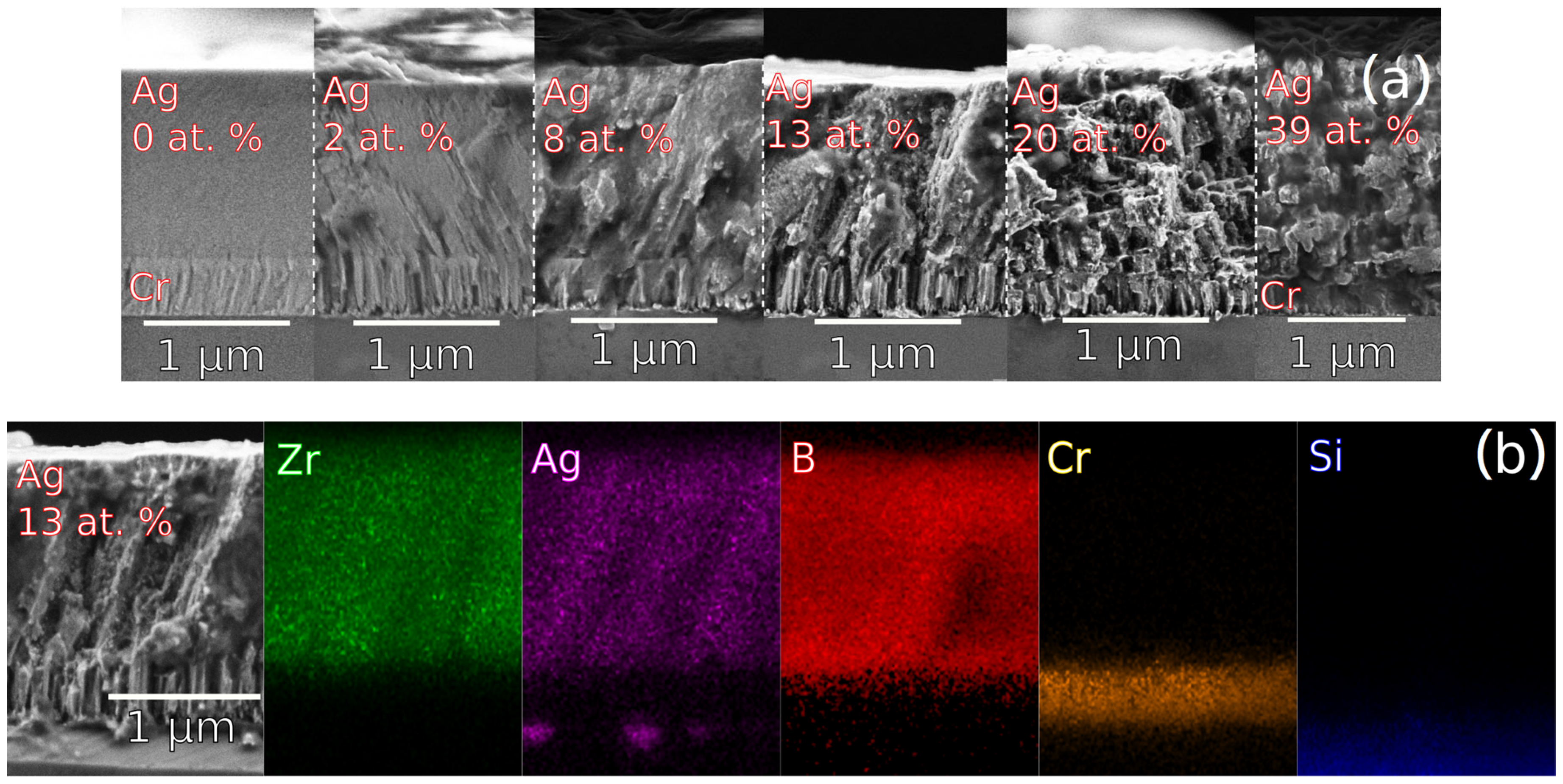 Coatings 13 00663 g002 Coatings 13 00663 g002