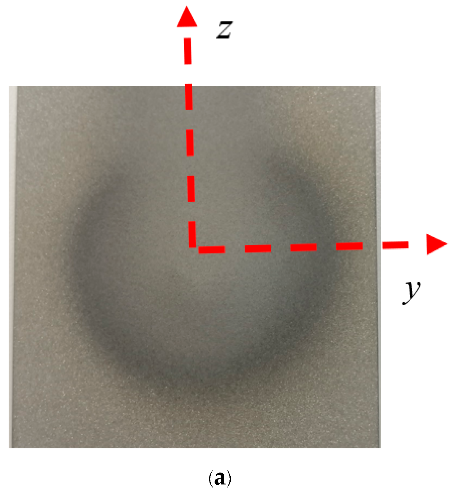 Coatings 13 00668 g019a