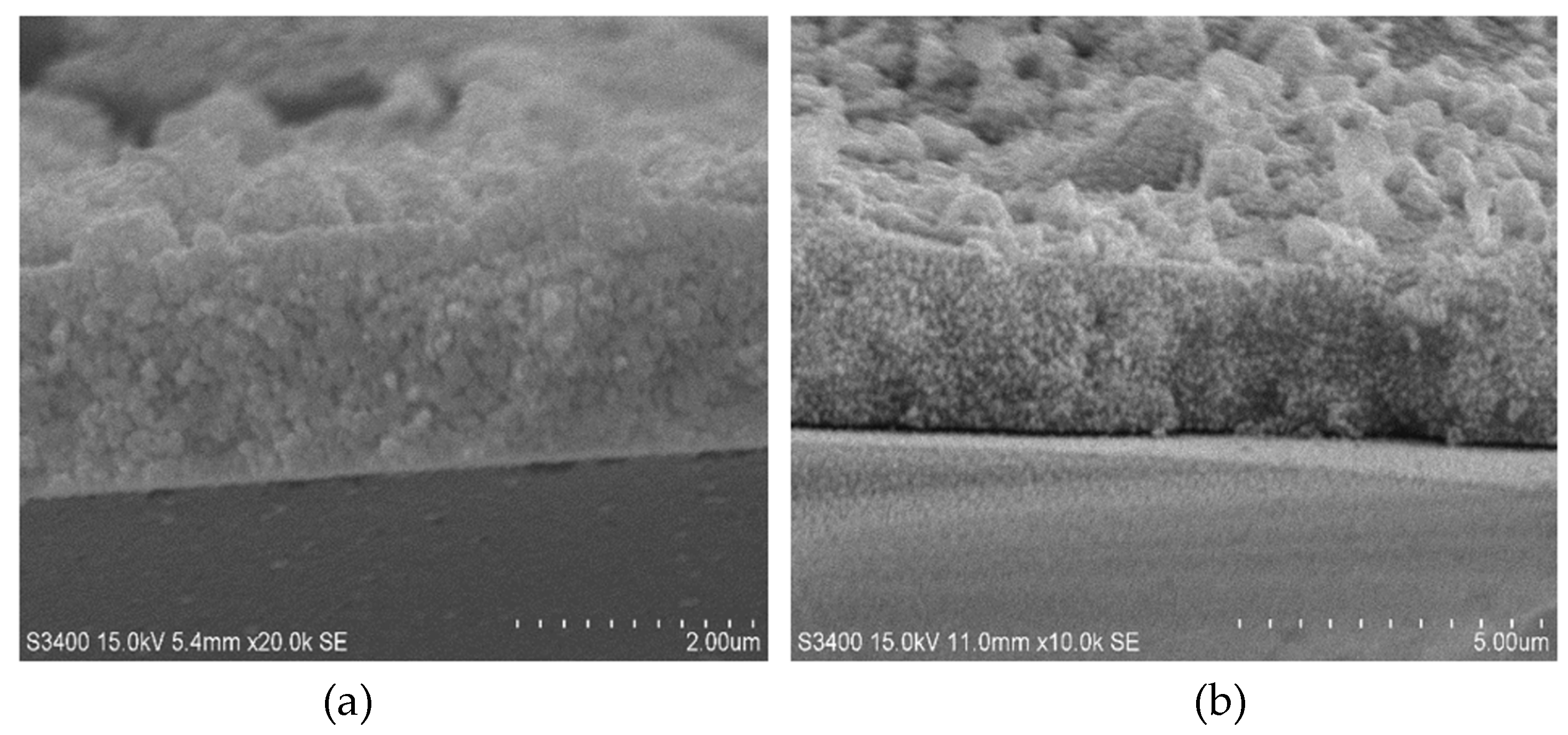 Coatings 13 00669 g006