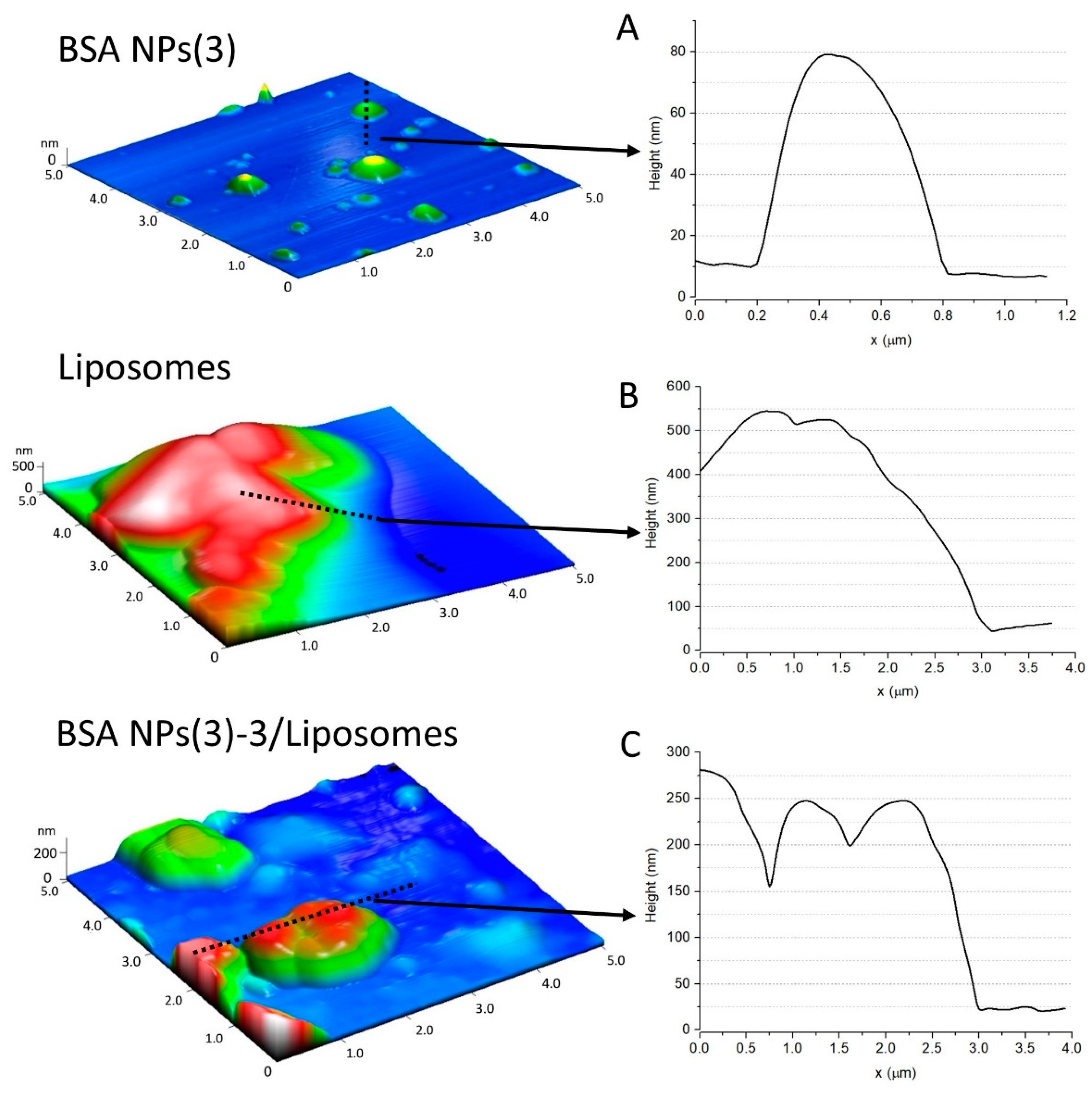 Coatings | Free Full-Text | Bio-Entities Based on Albumin Nanoparticles and  Biomimetic Cell Membranes: Design, Characterization and Biophysical  Evaluation
