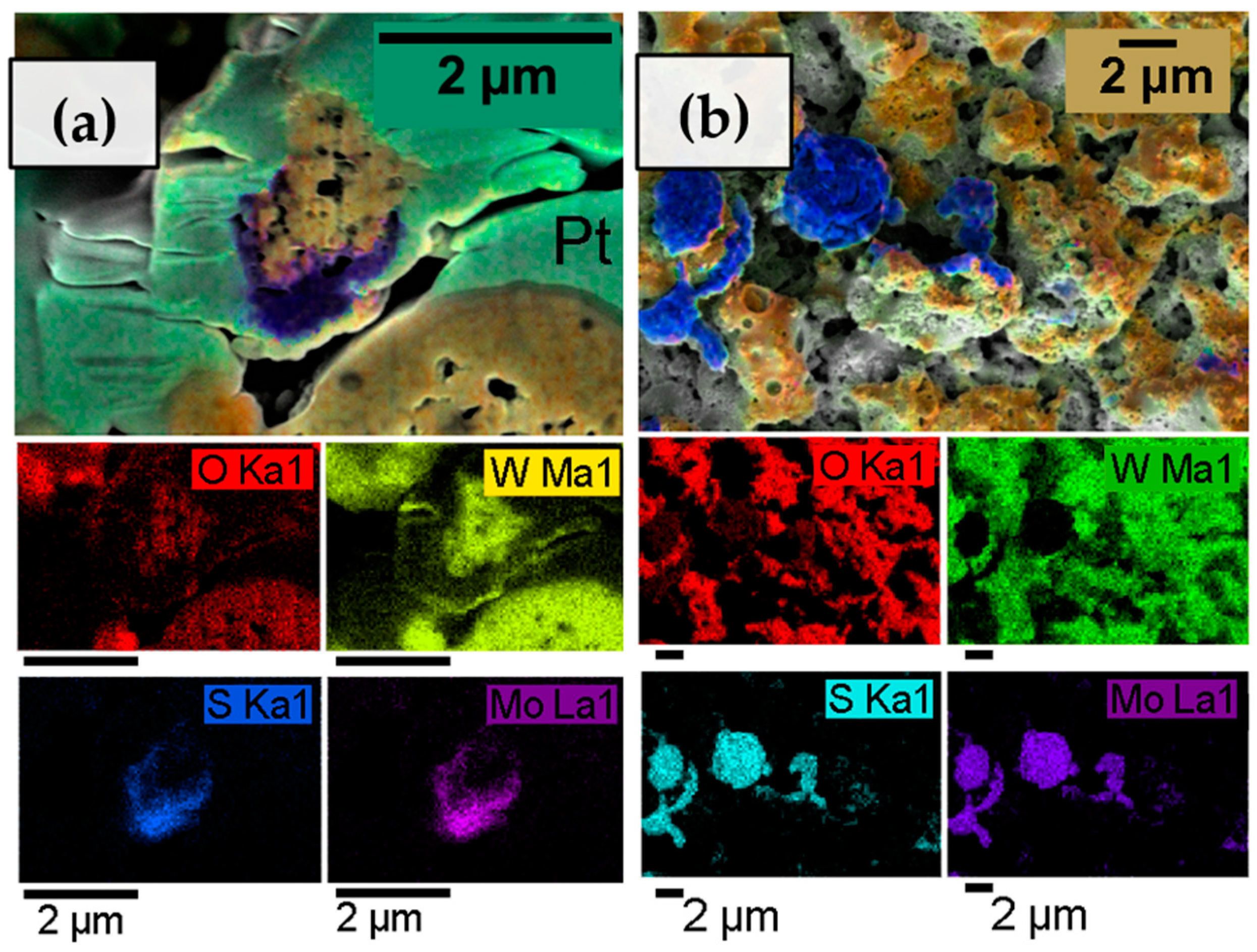 Coatings 13 00673 g004 Coatings 13 00673 g004