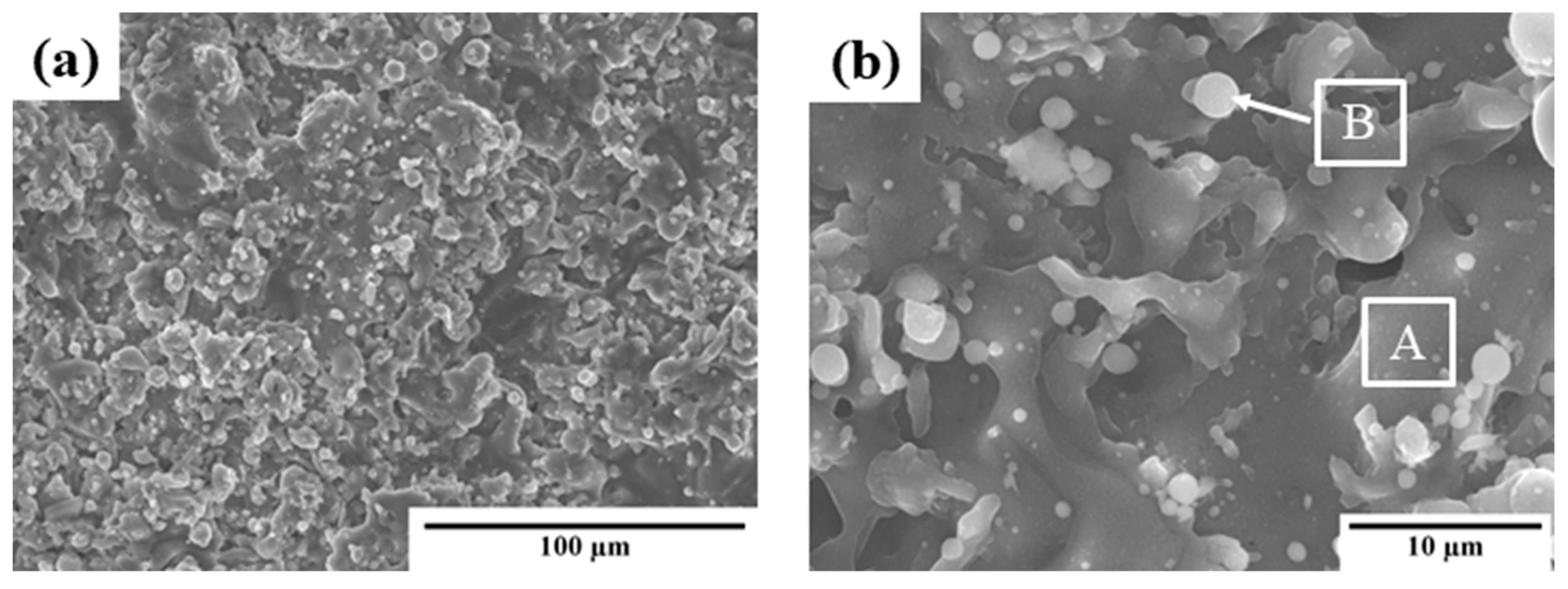 Coatings 13 00674 g002 Coatings 13 00674 g002