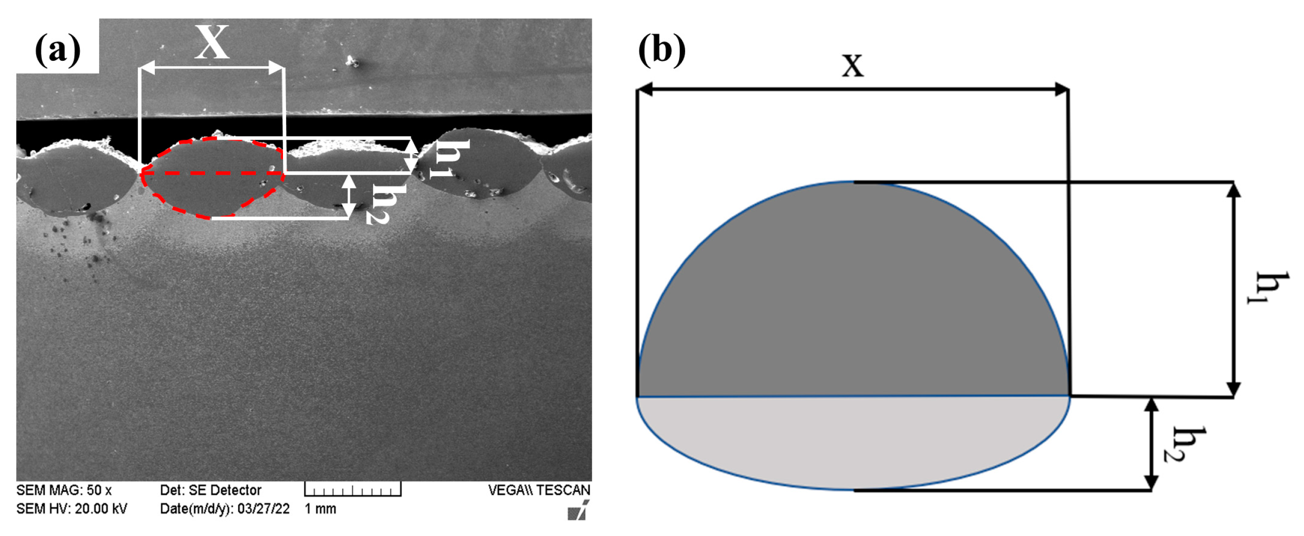 Coatings 13 00676 g004 Coatings 13 00676 g004