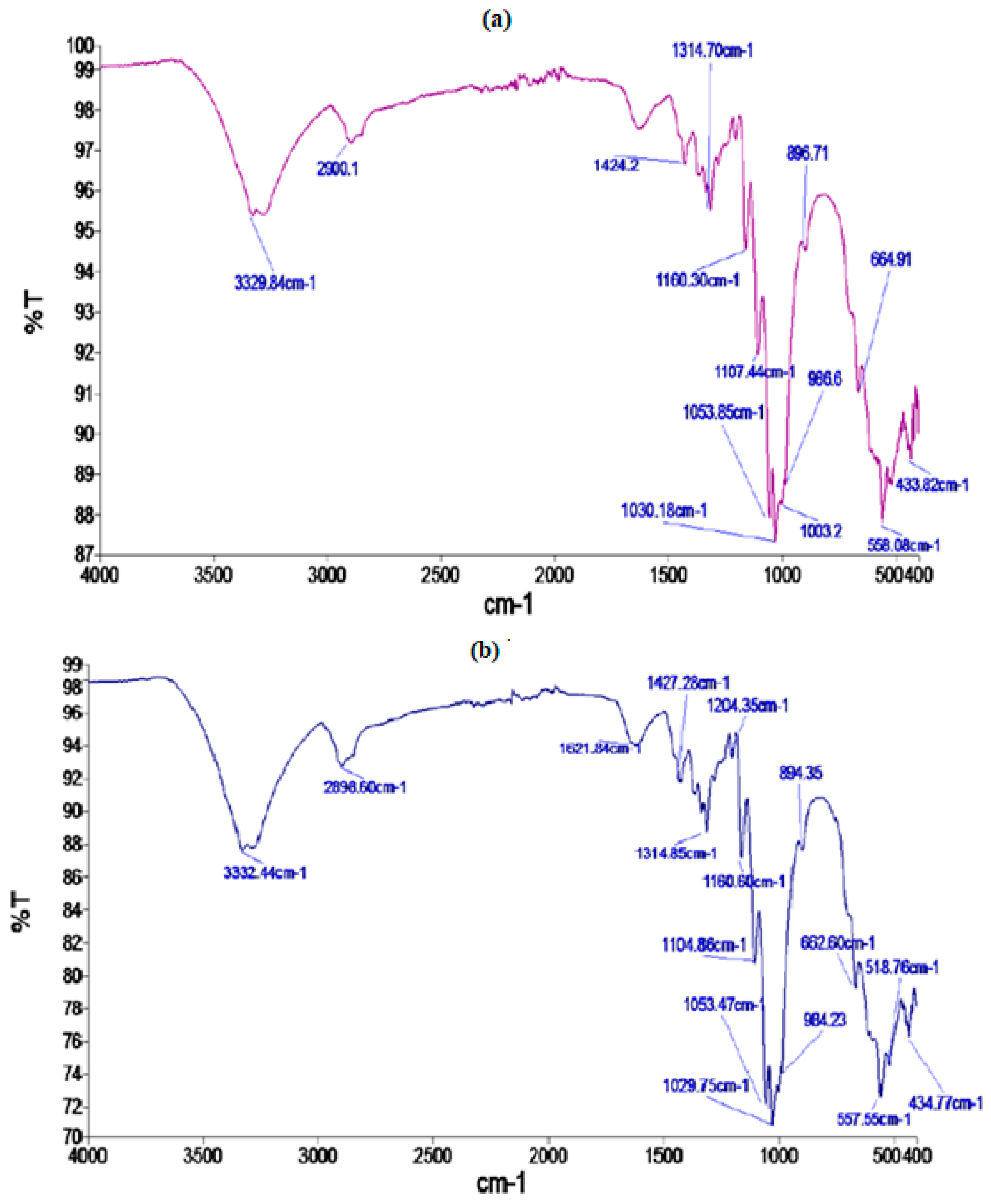 Coatings 13 00677 g003 Coatings 13 00677 g003