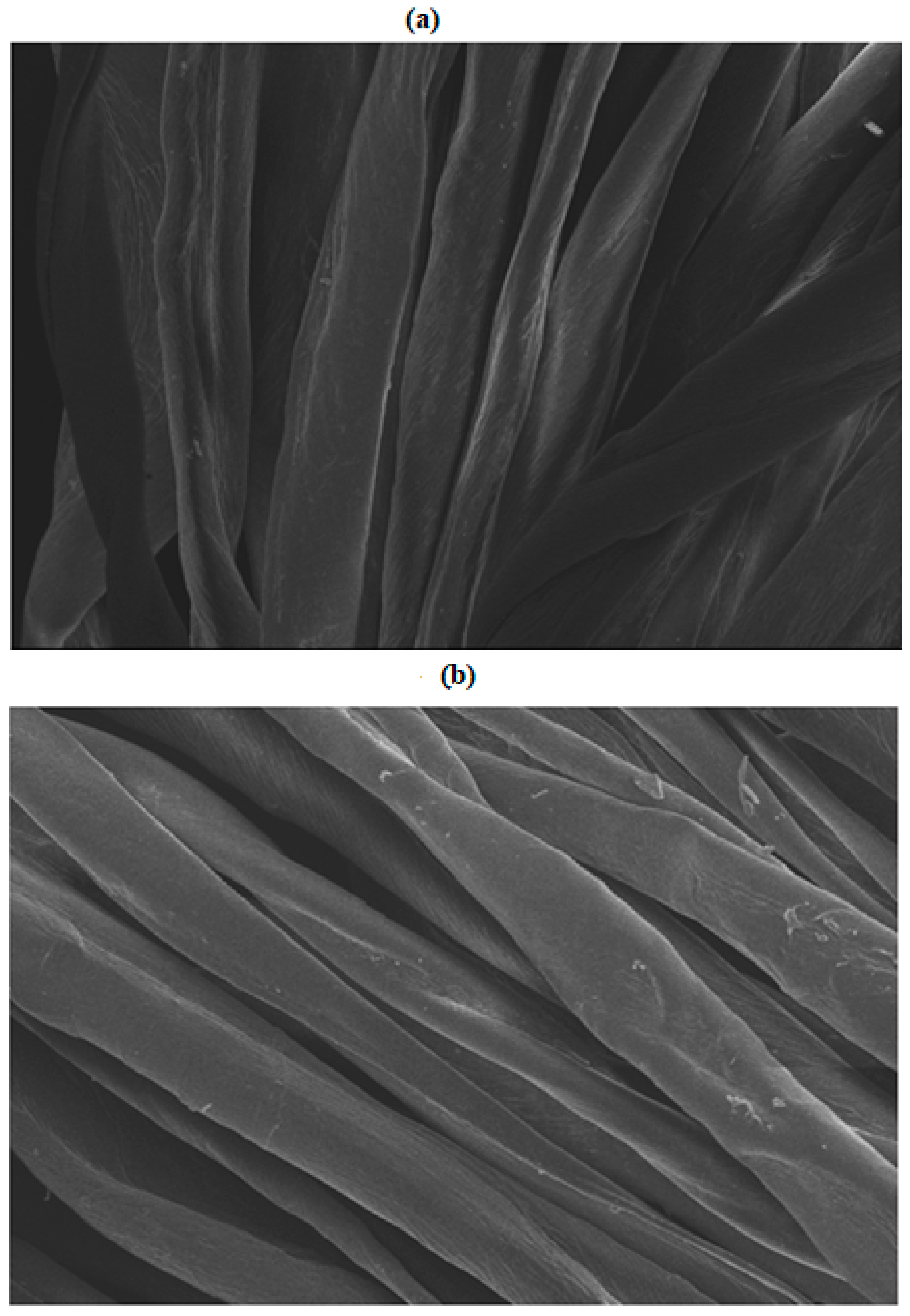 Coatings 13 00677 g004 Coatings 13 00677 g004