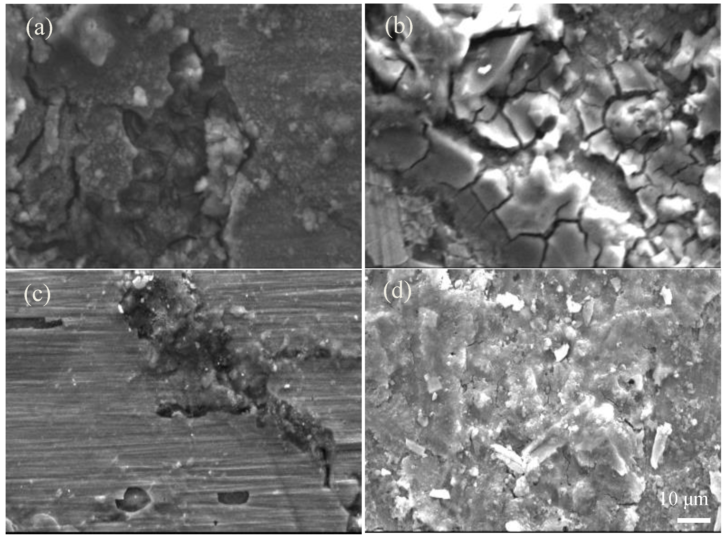 Coatings 13 00678 g006 Coatings 13 00678 g006