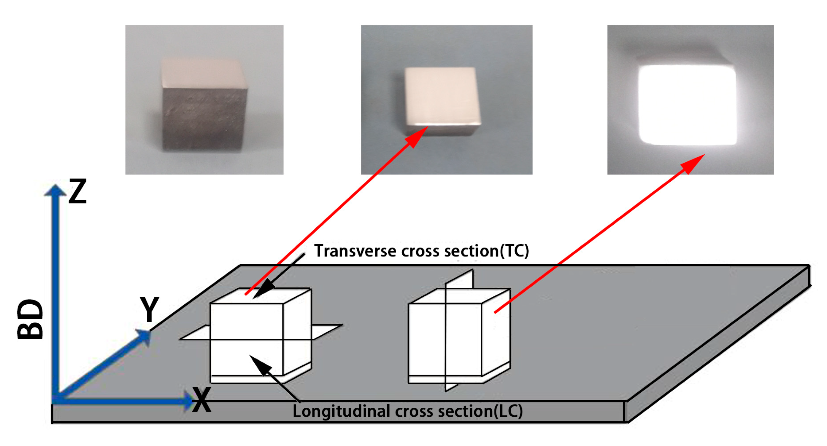 Coatings 13 00680 g003 550