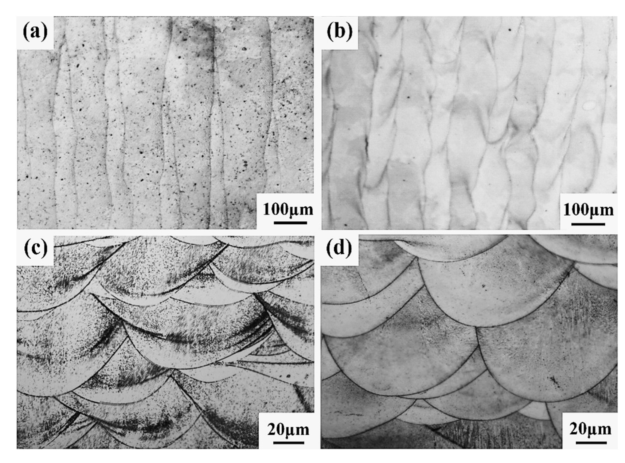 Coatings 13 00680 g022 550