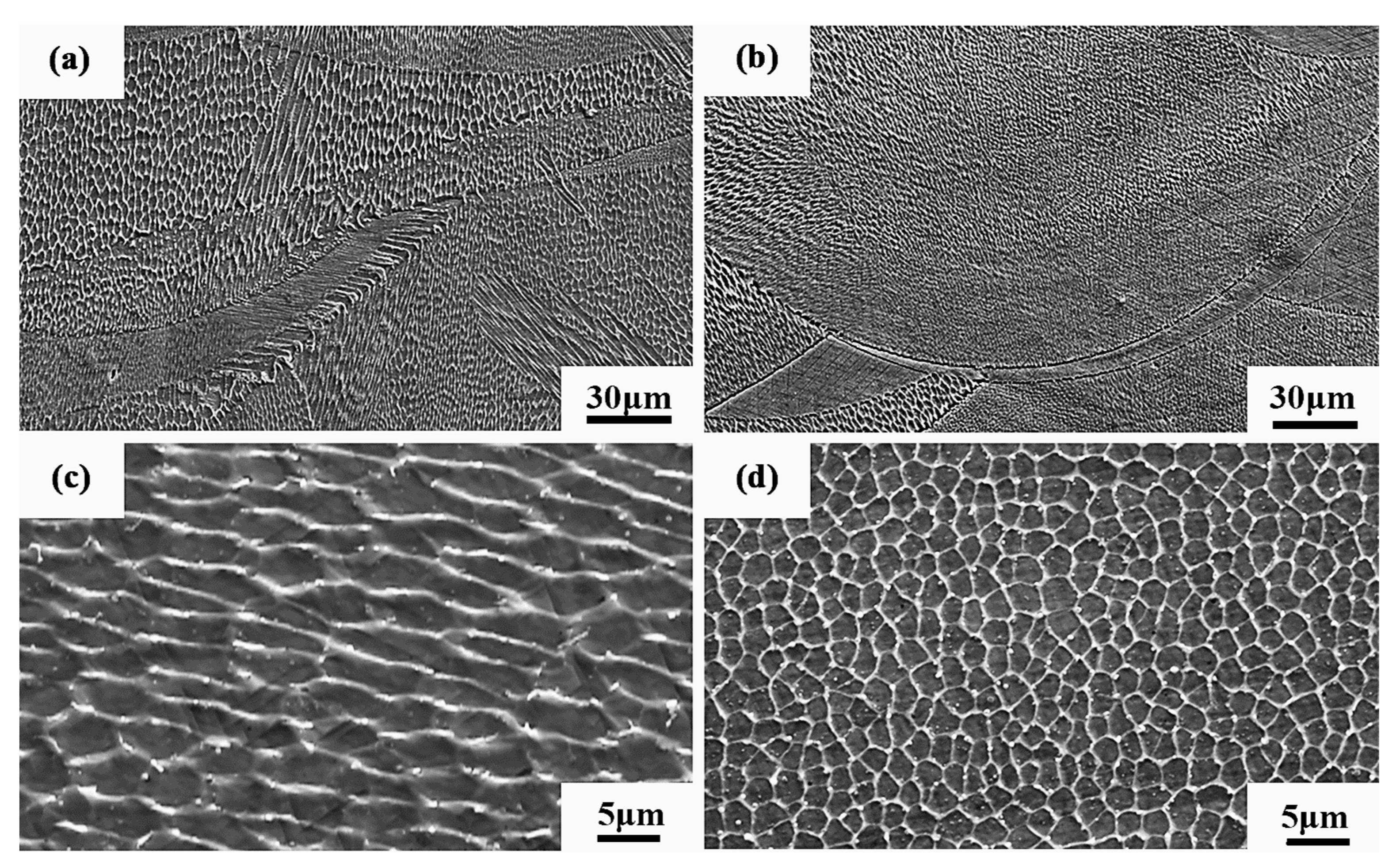 Coatings 13 00680 g023 550