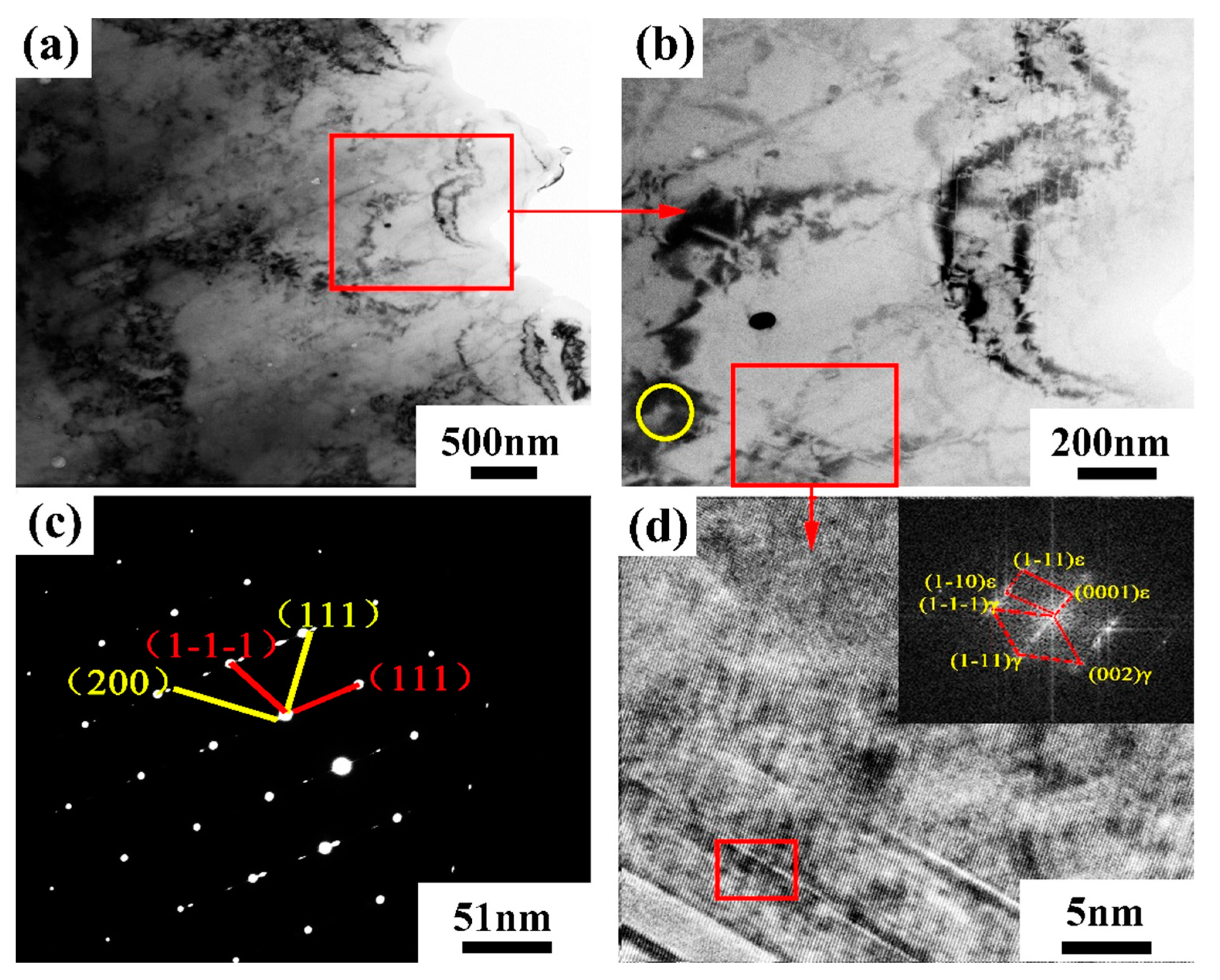 Coatings 13 00680 g024 550
