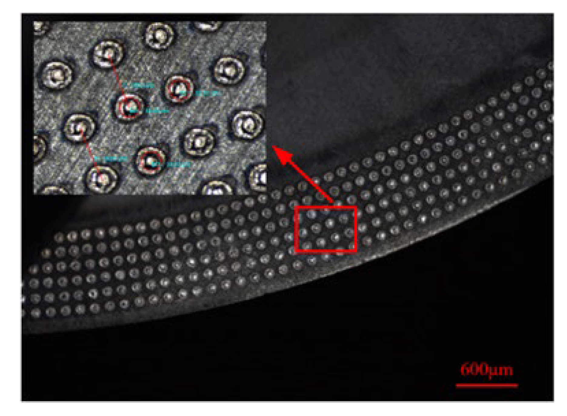 Coatings 13 00681 g005 Coatings 13 00681 g005