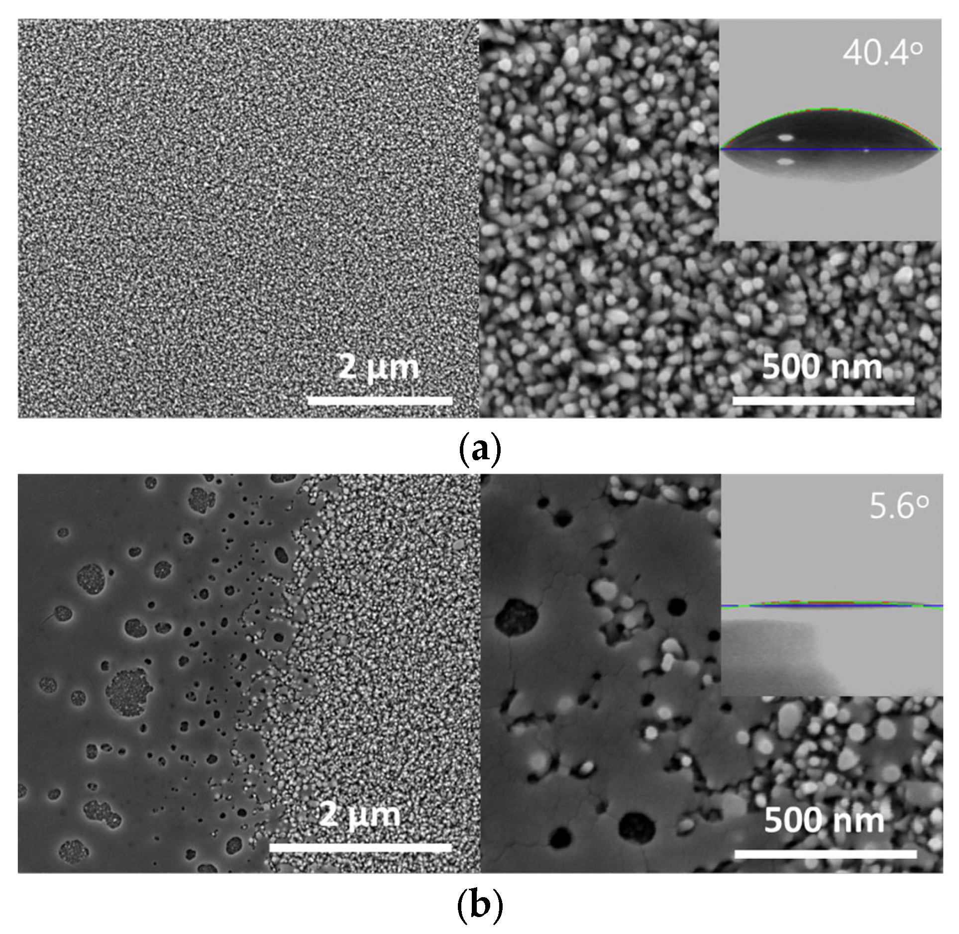 Coatings 13 00683 g002